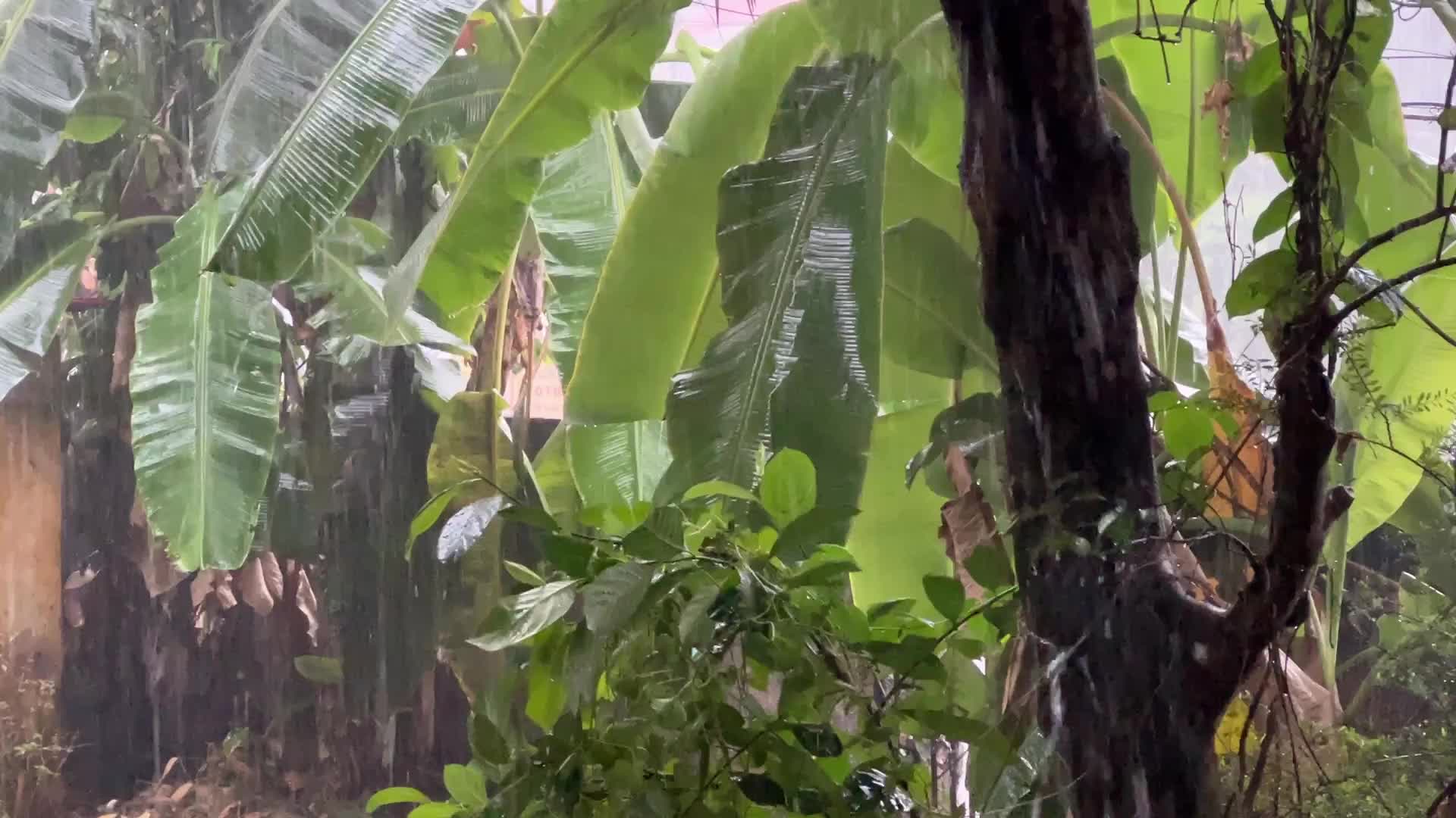 Thunderstorm in Thiruvananthapuram