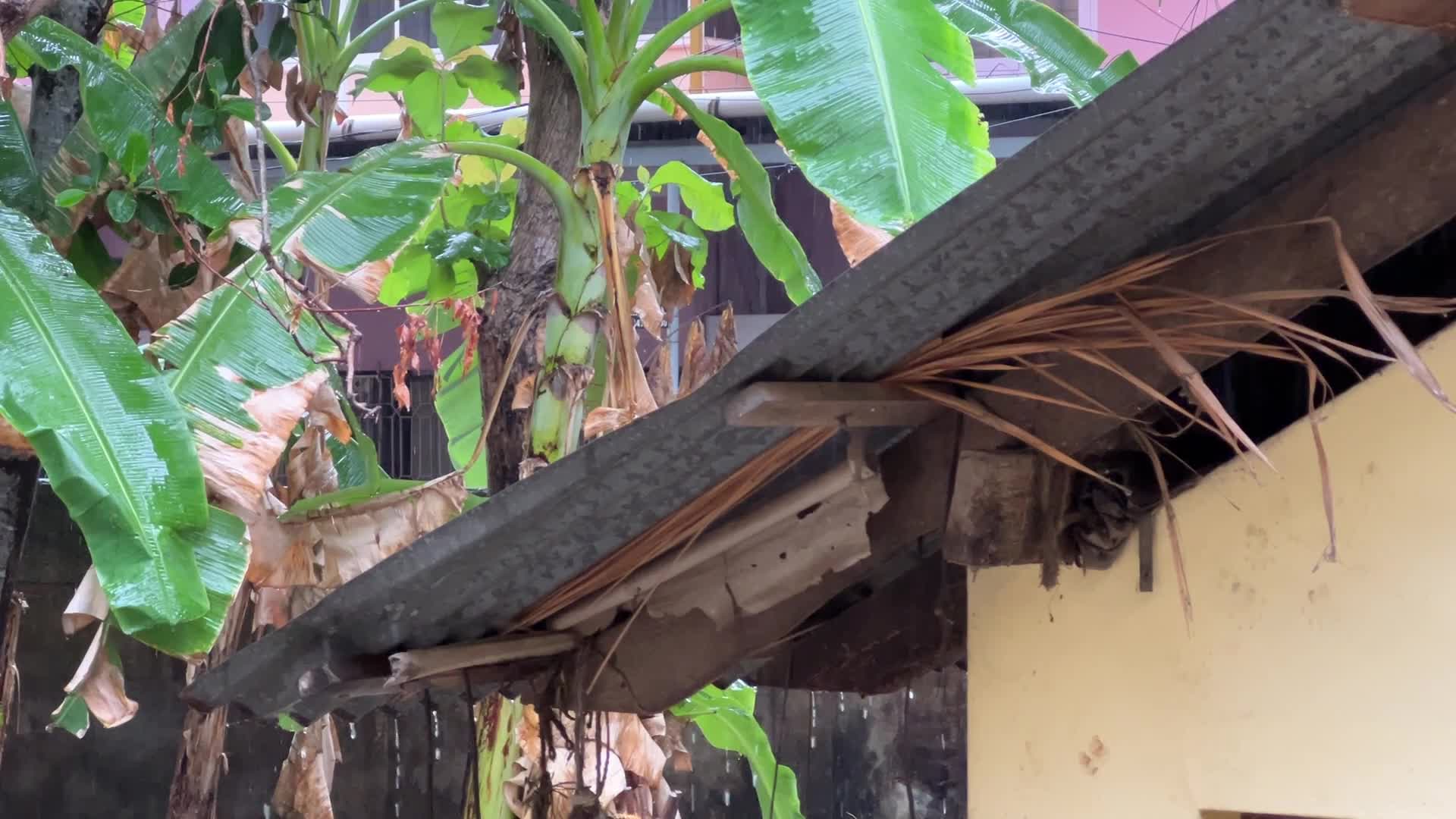 Thunderstorm in Thiruvananthapuram