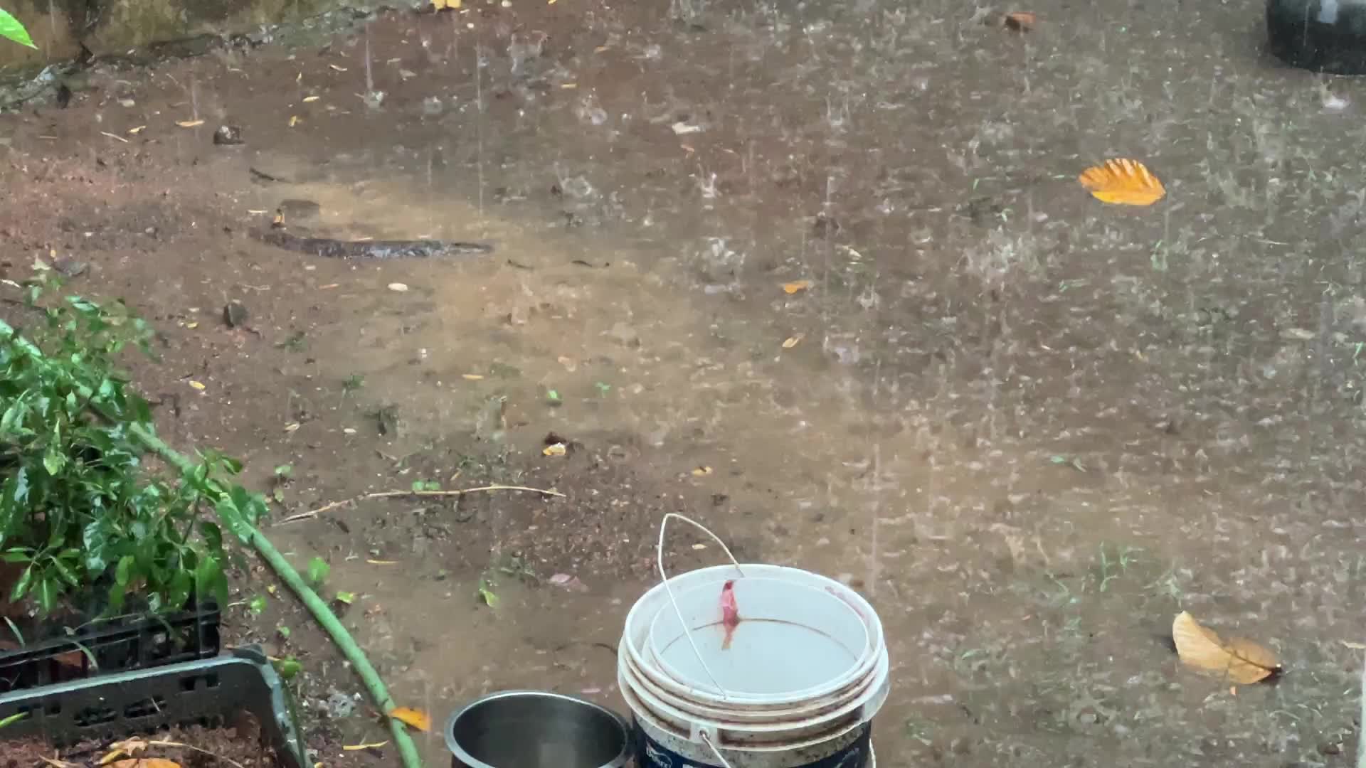 Thunderstorm in Thiruvananthapuram
