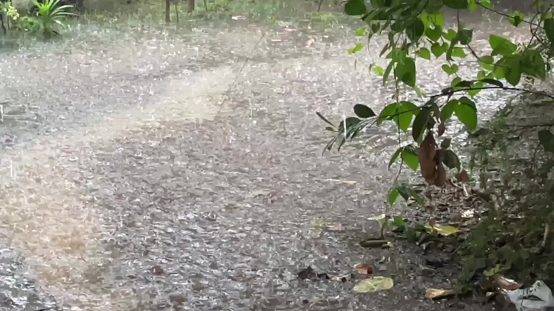 Thunderstorm in Thiruvananthapuram