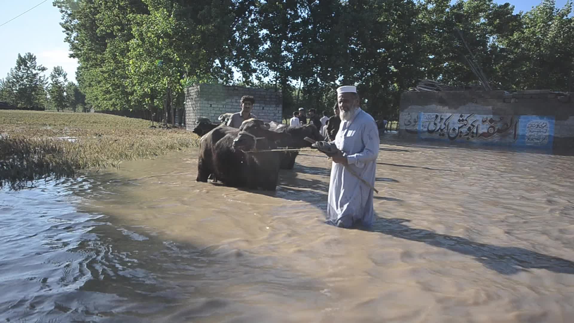 Heavy rains and floods kill dozens in Pakistan's southwest 