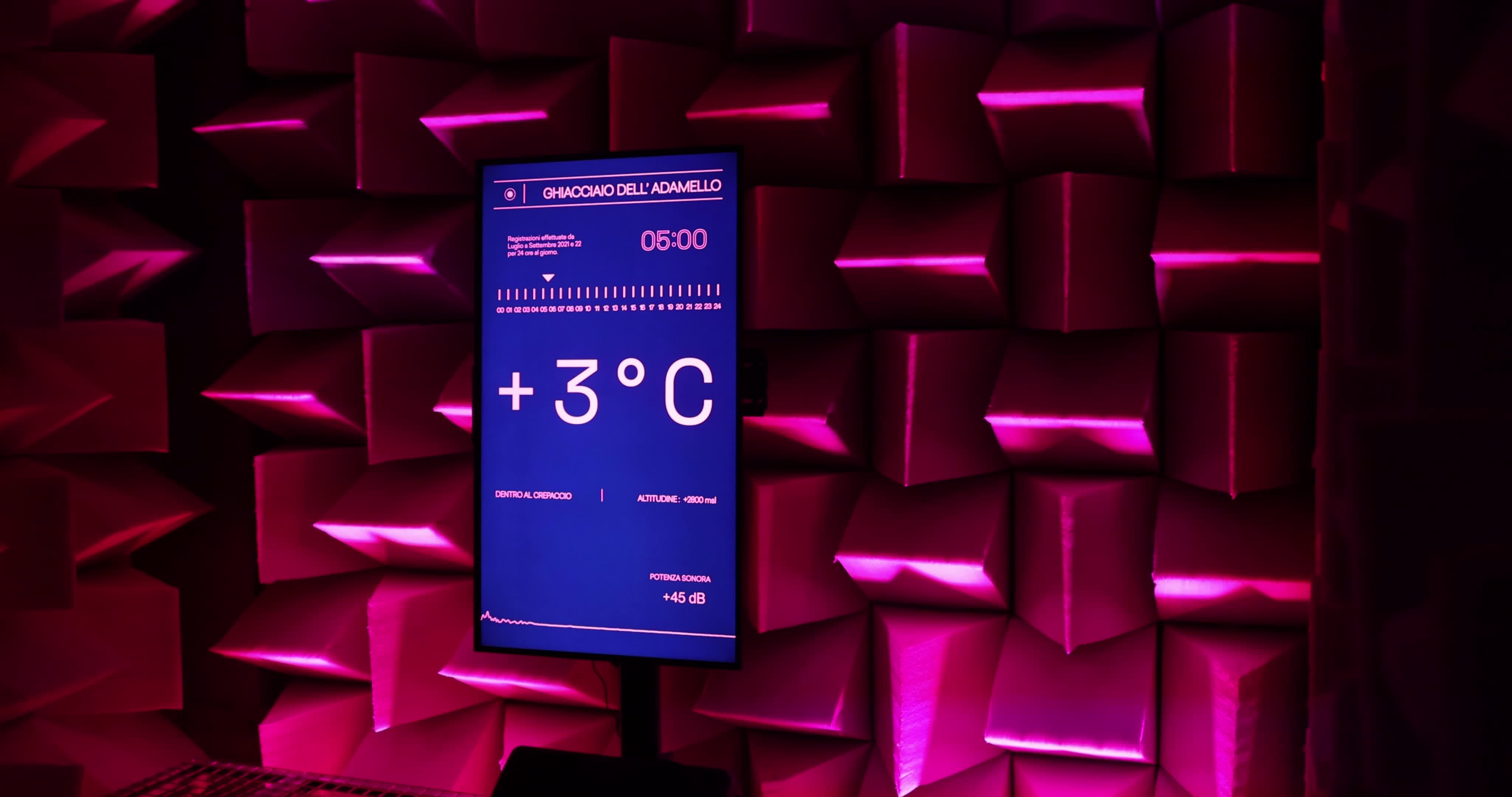 The installation, "A Sound in Extinction" depicts the effects of climate change in the Alps.