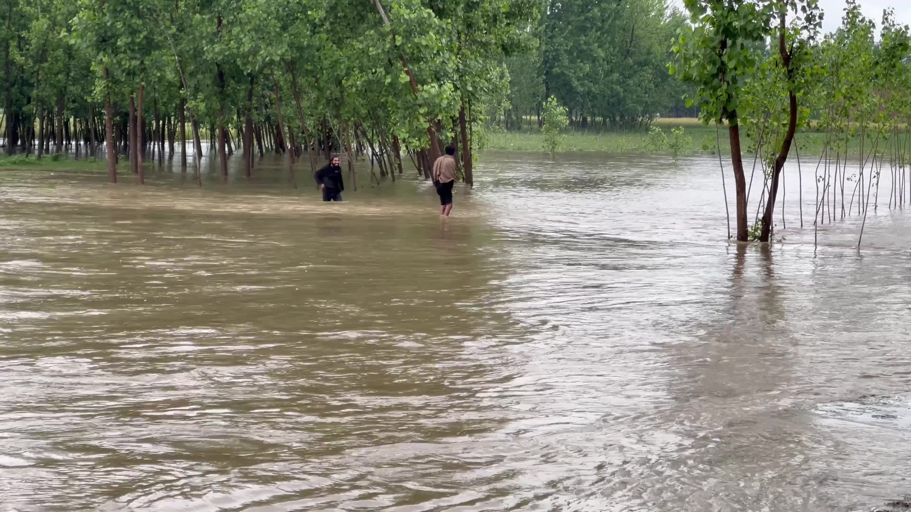 Heavy rains and floods kill dozens in Pakistan's southwest