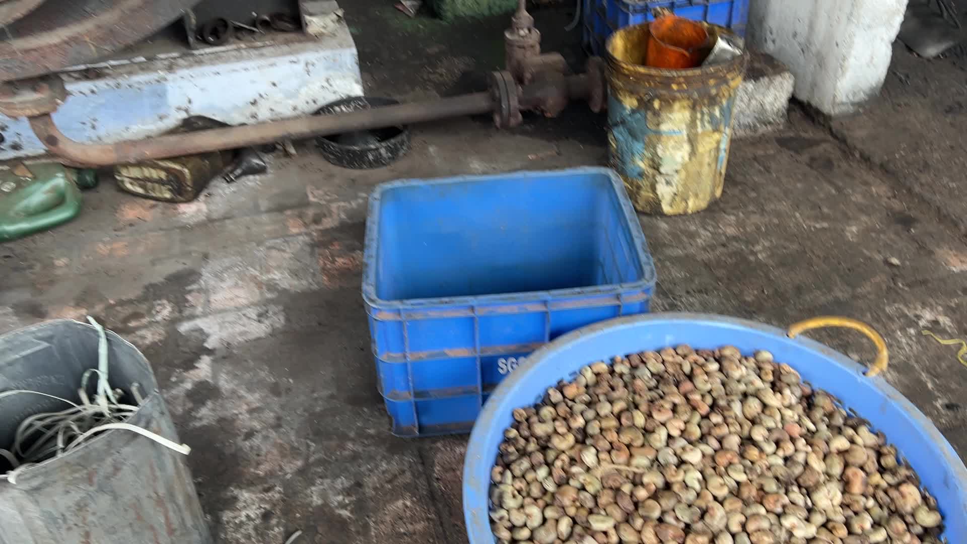 Cashew nut factory in Kerala