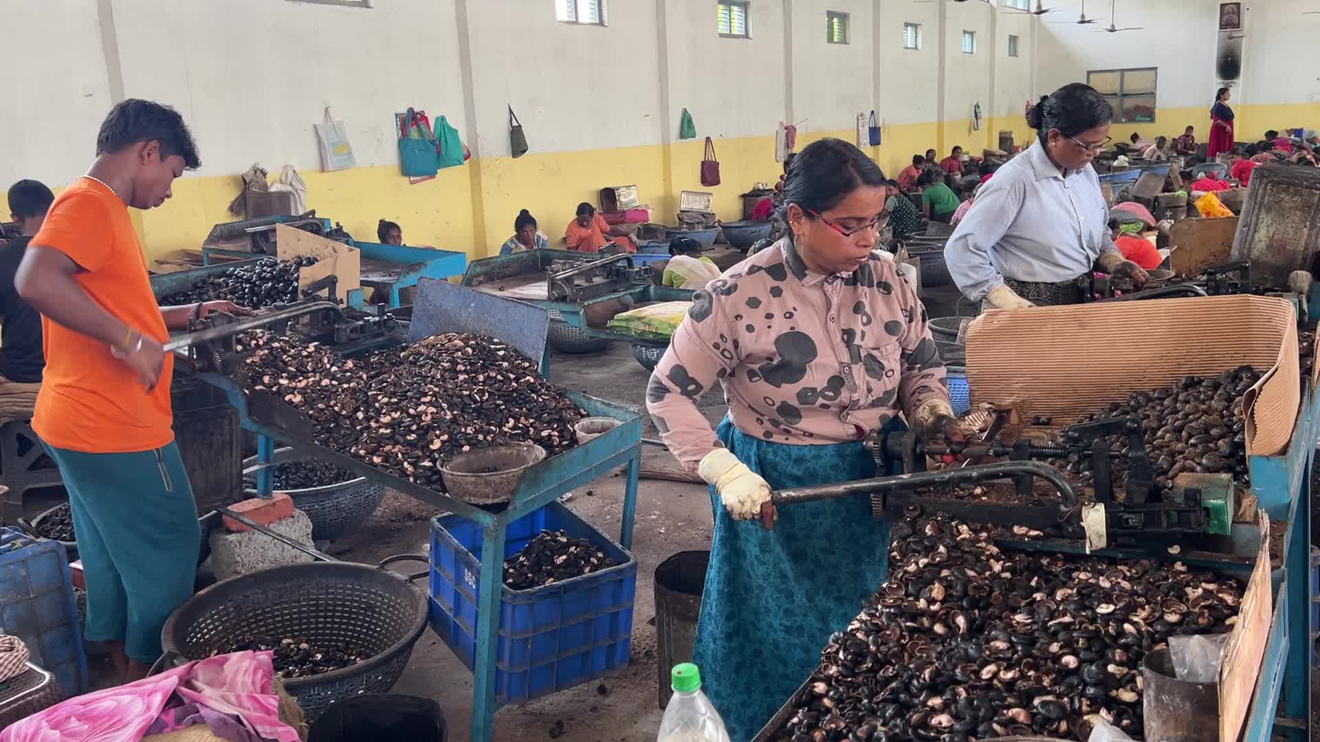 Cashew nut factory in Kerala