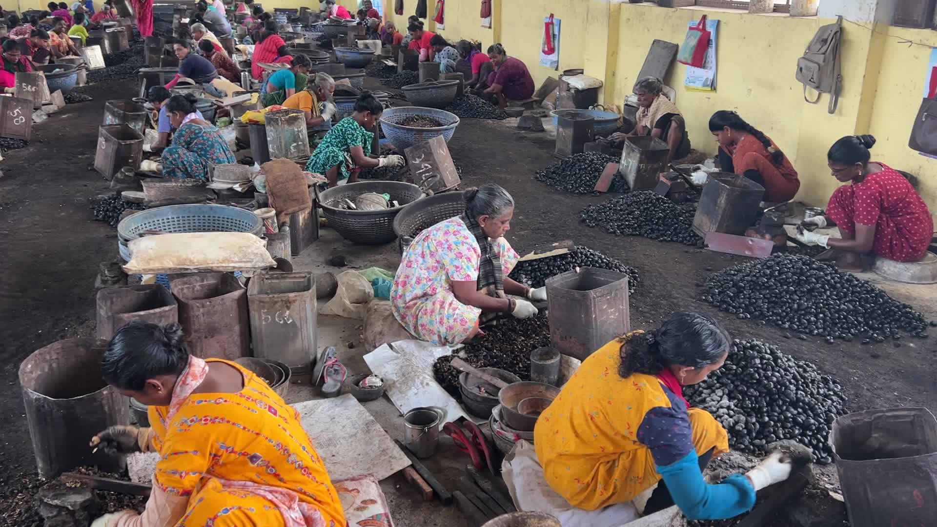 Cashew nut factory in Kerala