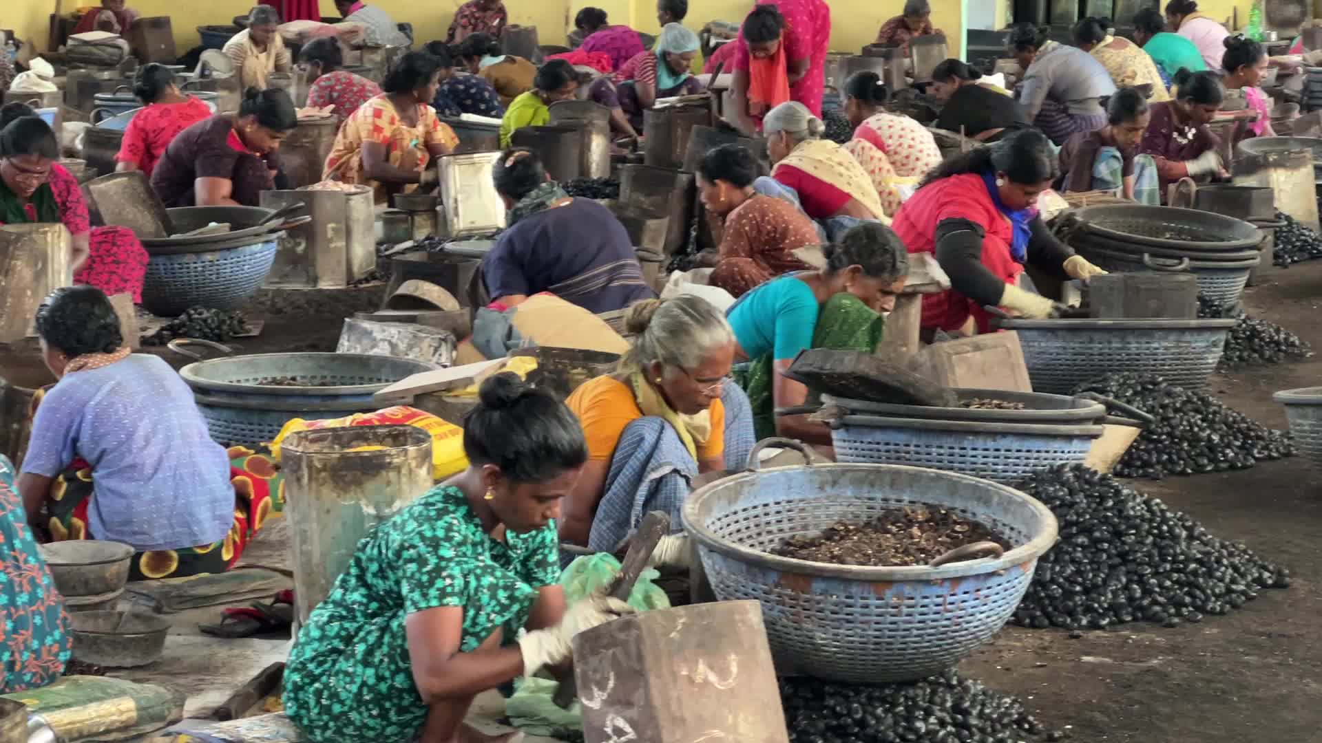 Cashew nut factory in Kerala