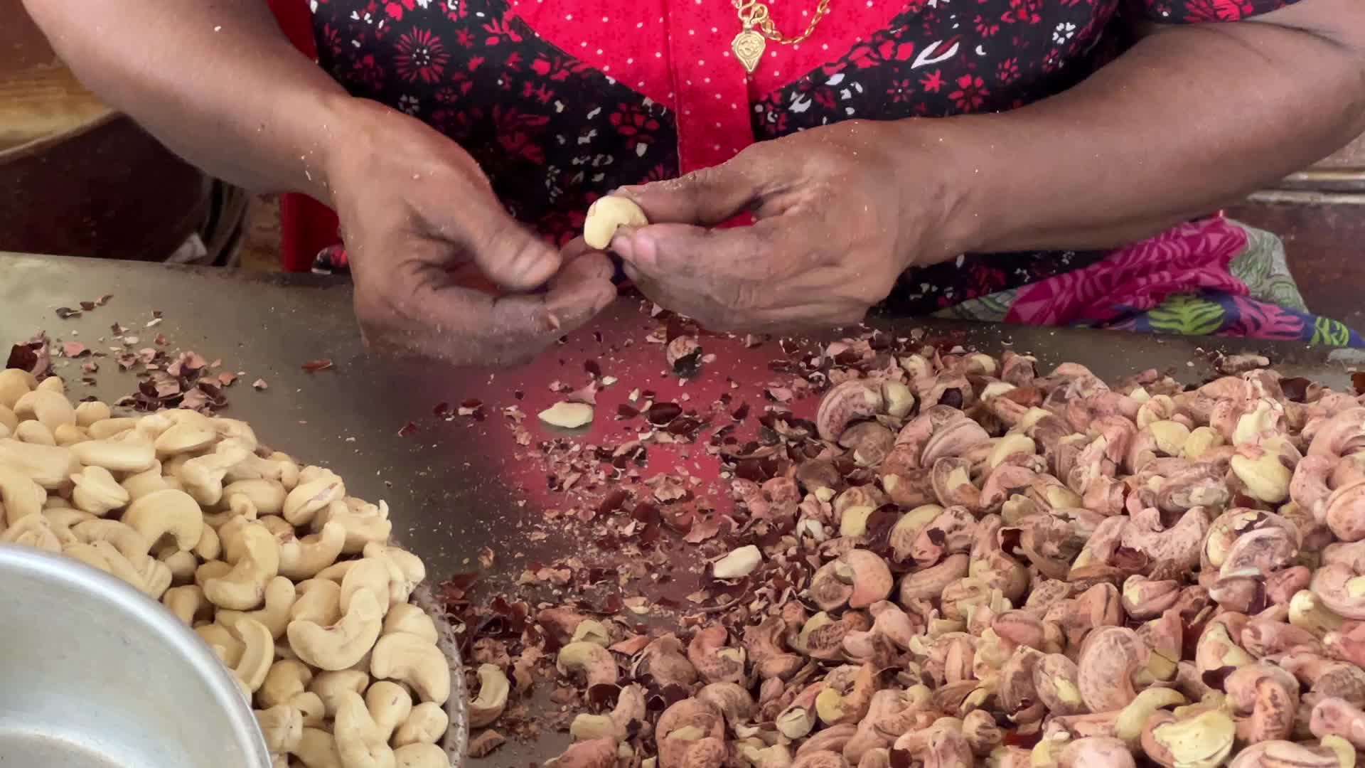 Cashew nut factory in Kerala