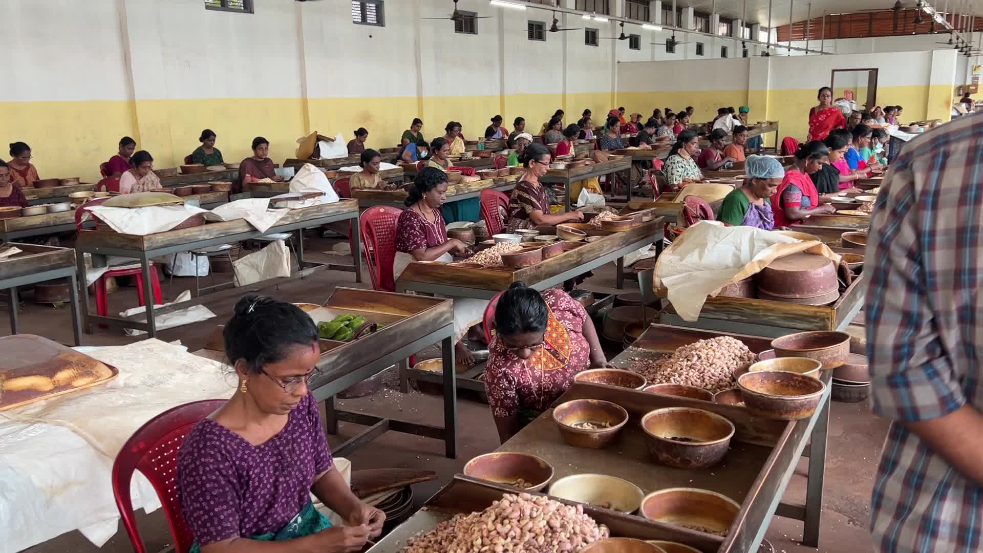 Cashew nut factory in Kerala