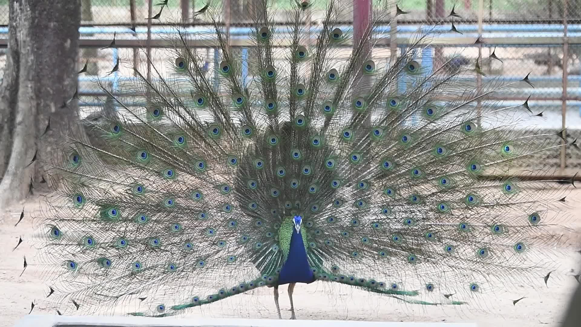 Weahter in Dhaka