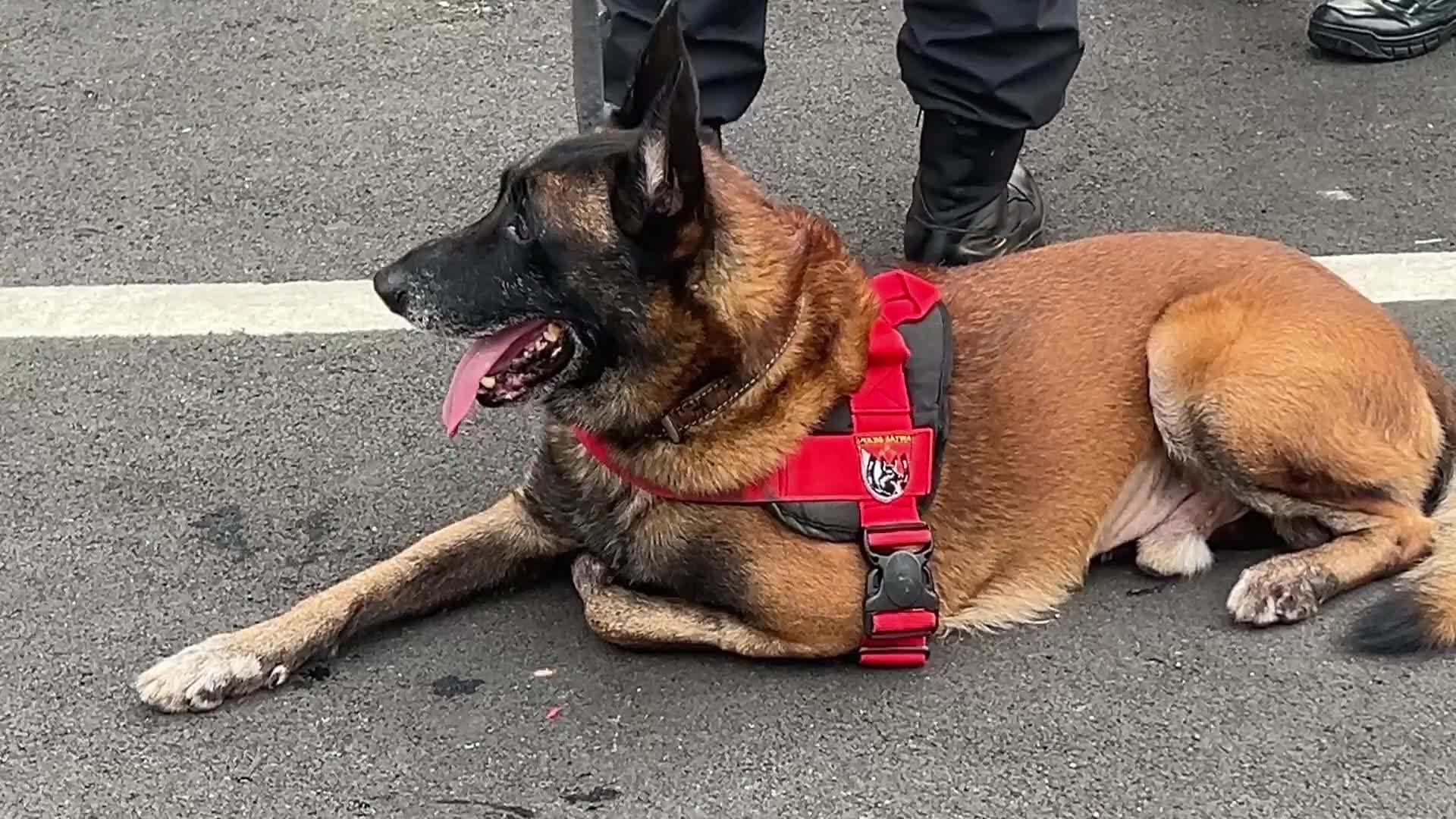 Security for New President administration signing