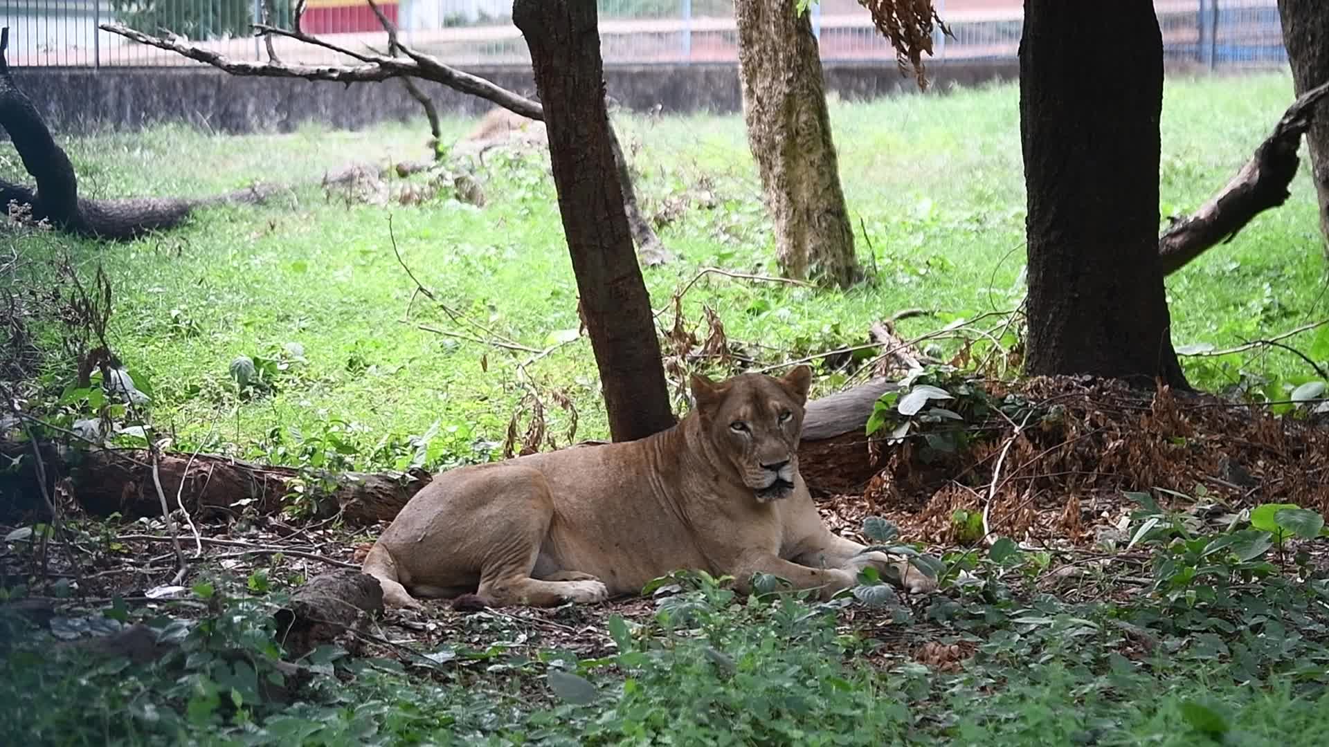 Weahter in Dhaka