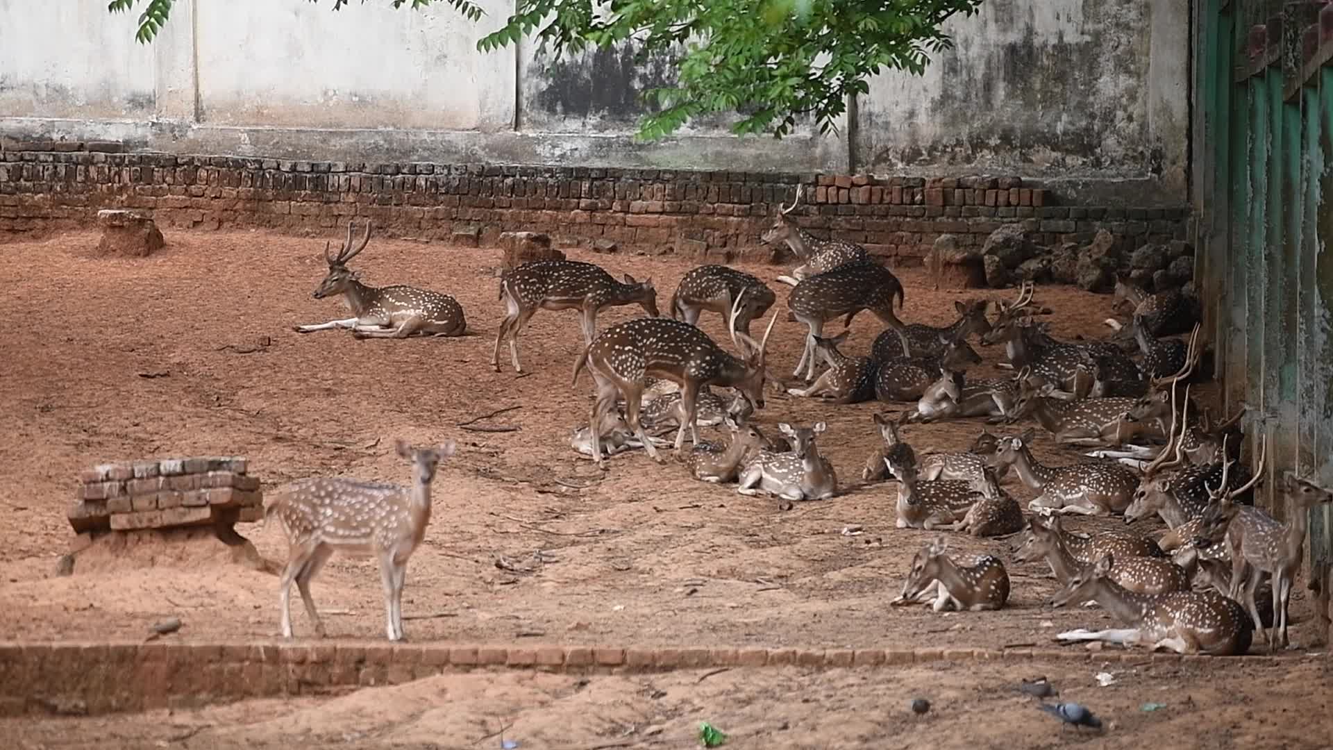 Weahter in Dhaka