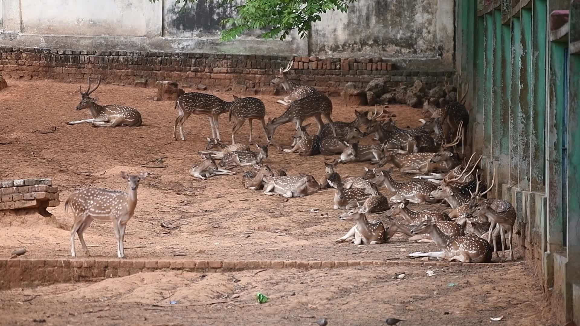 Weahter in Dhaka