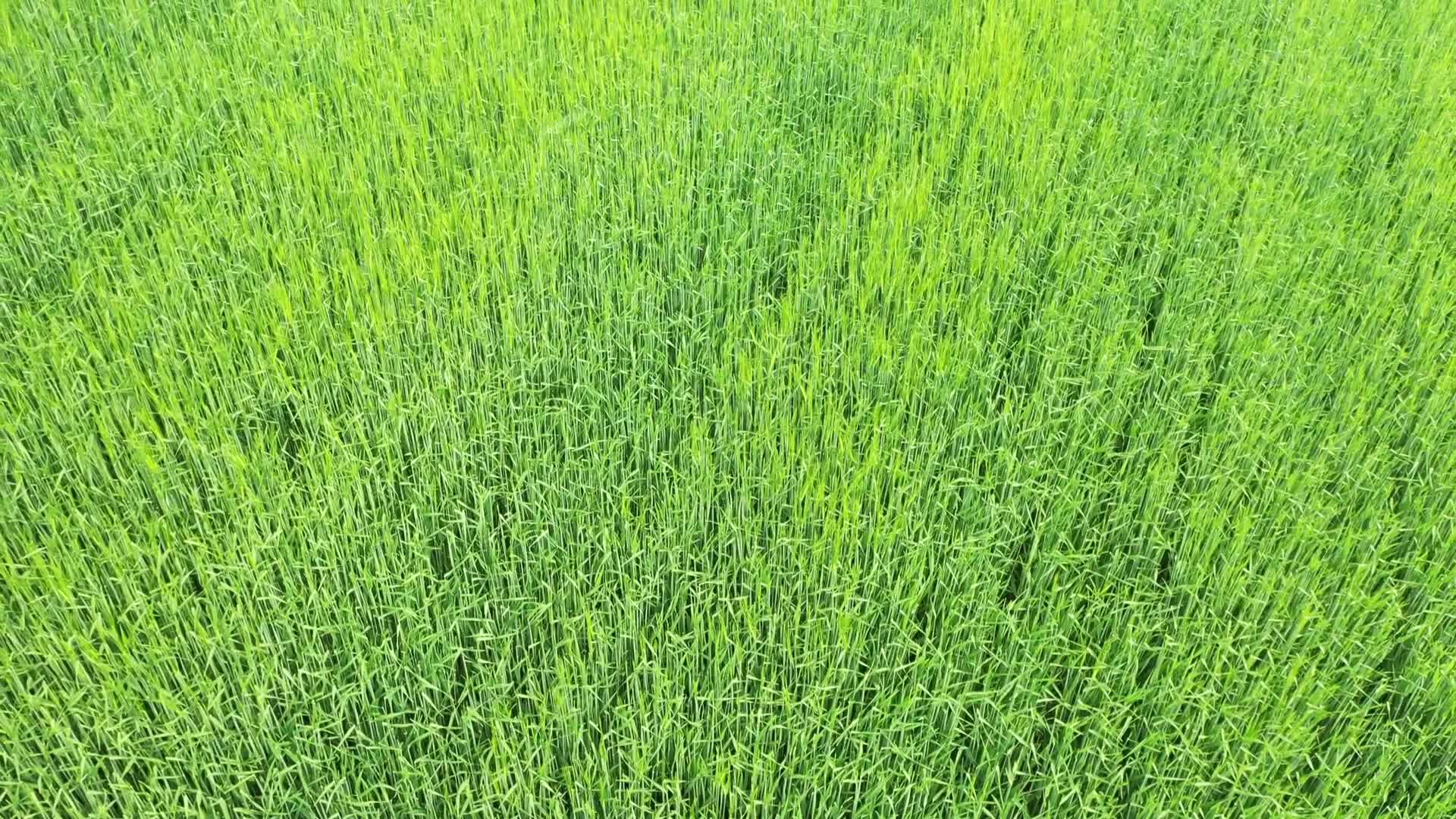 Agricultural season begins as Polish farmers still express dissatisfaction