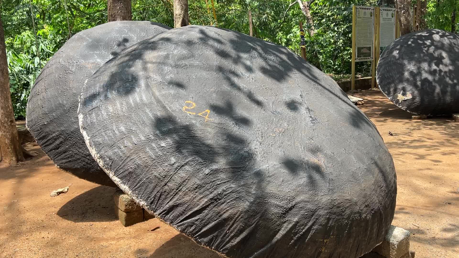 Eco-tourism in Kerala