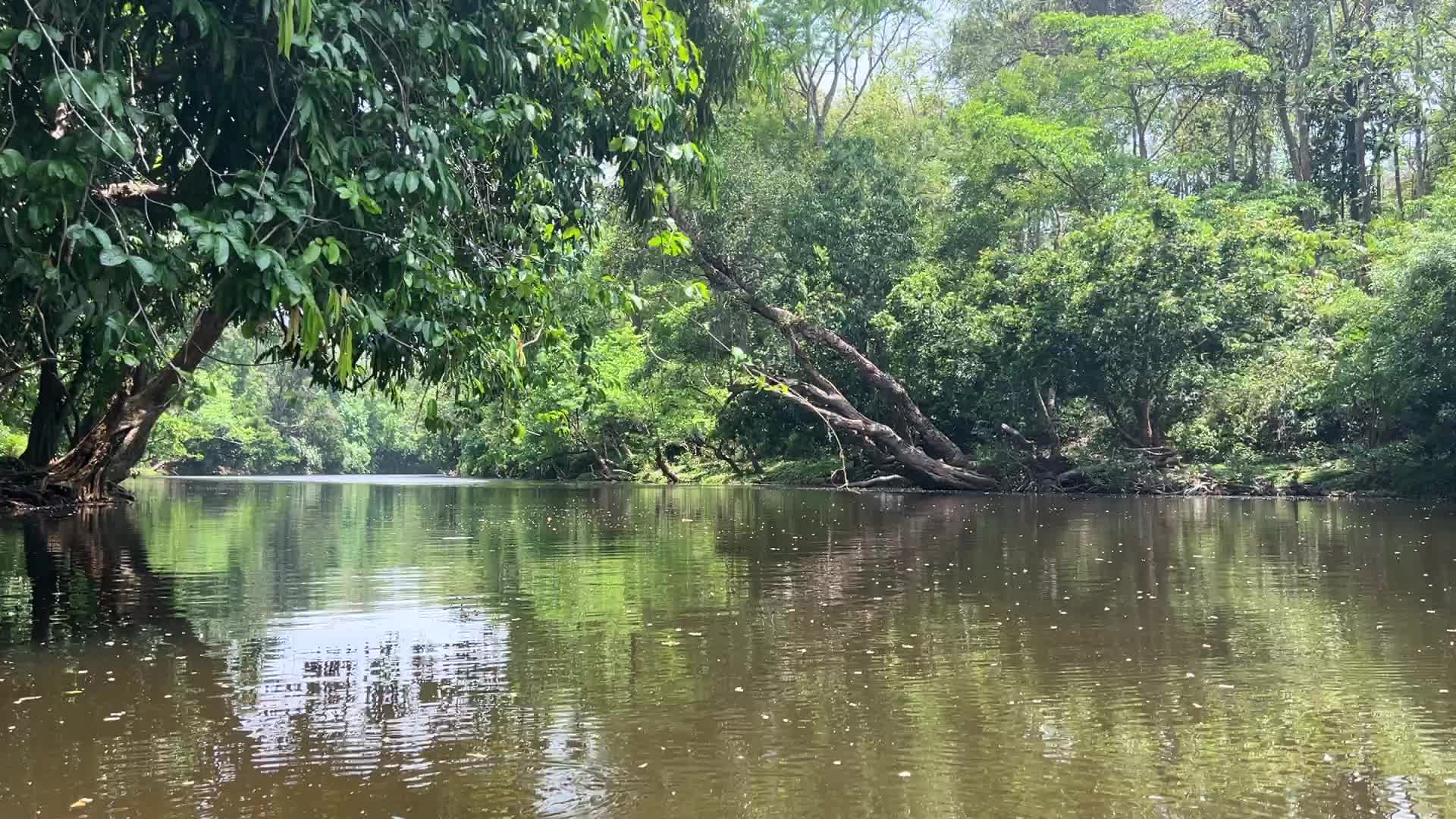 Eco-tourism in Kerala