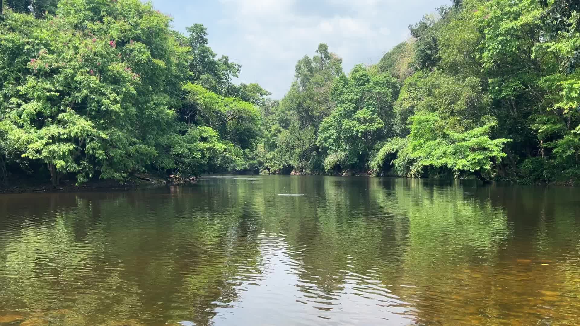 Eco-tourism in Kerala