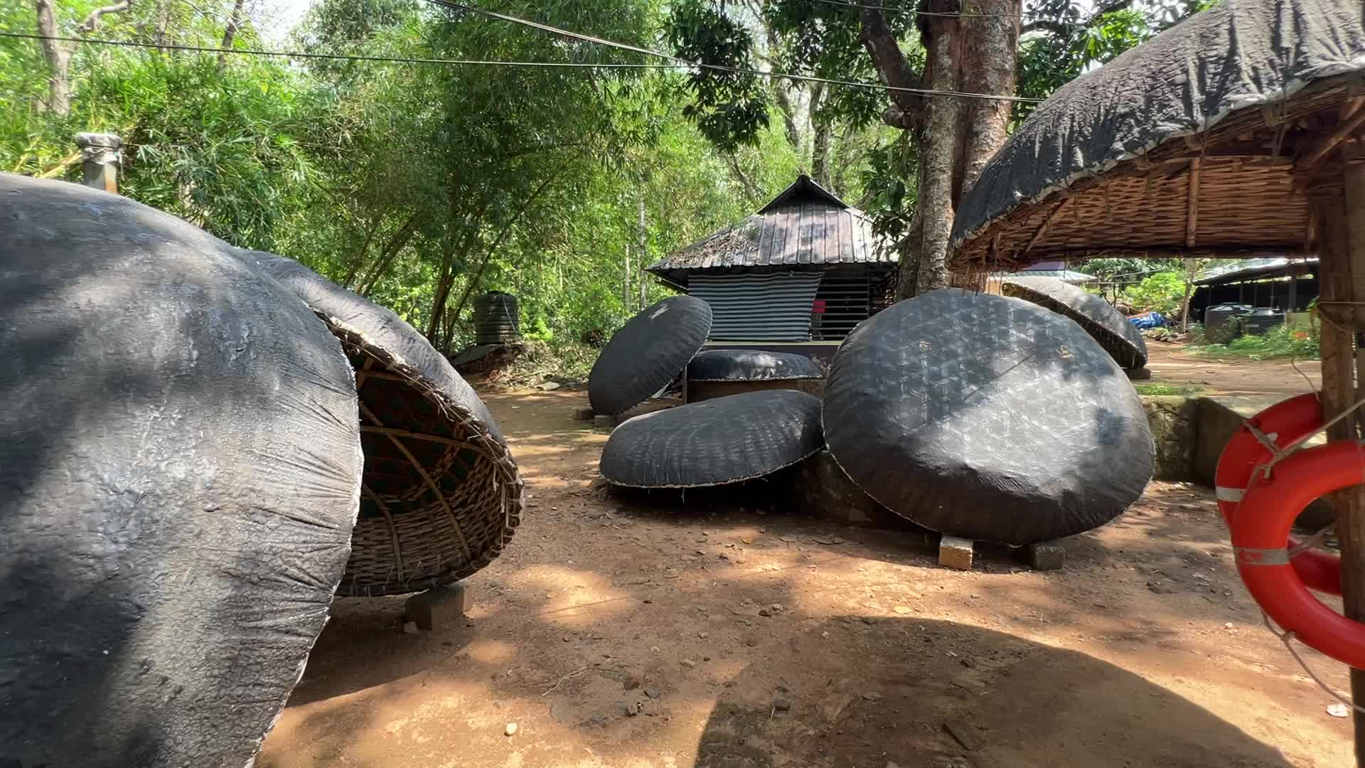 Eco-tourism in Kerala
