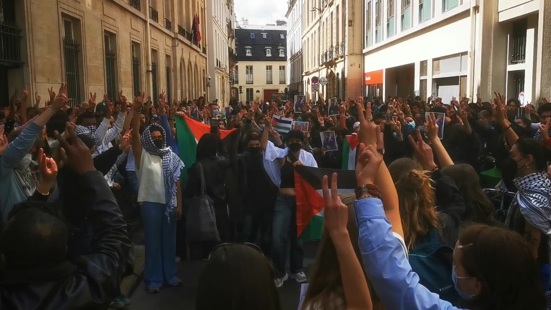 Pro Palestinians Students Demonstrate in Paris, France