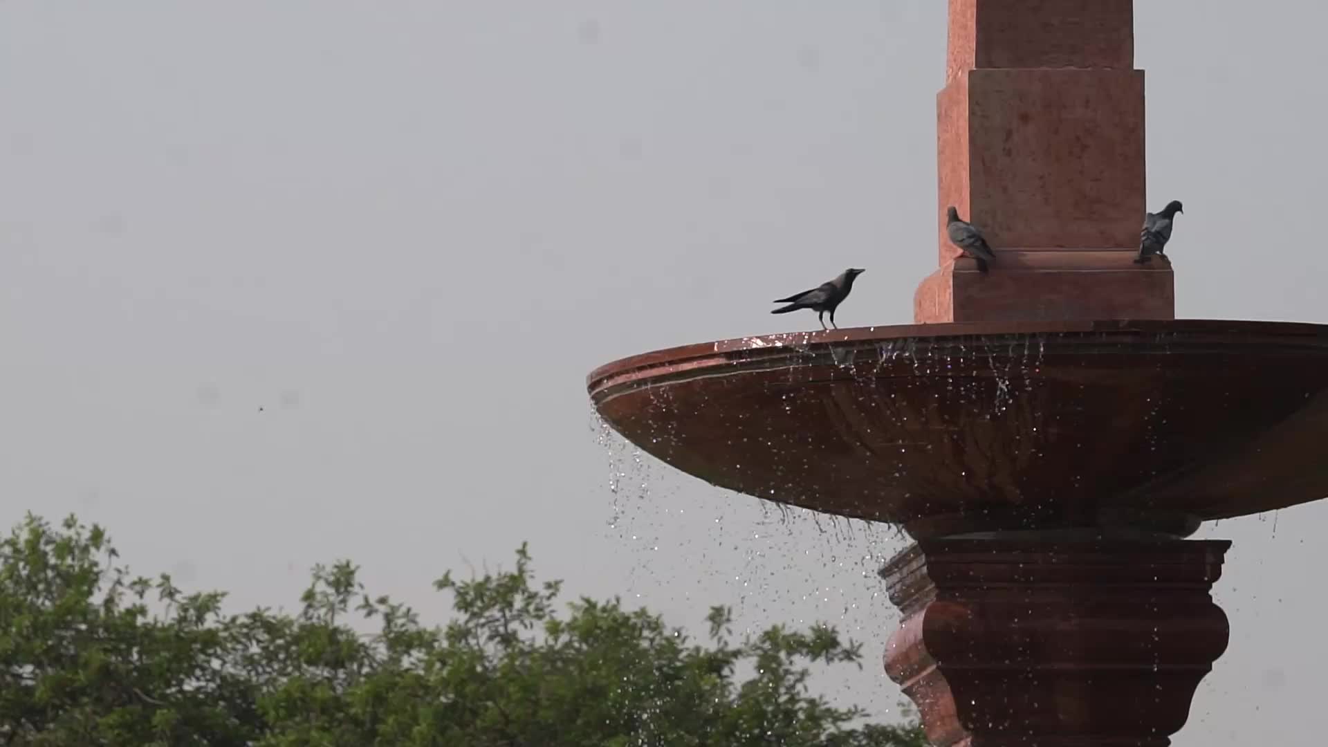 Hot summer day in Delhi, India