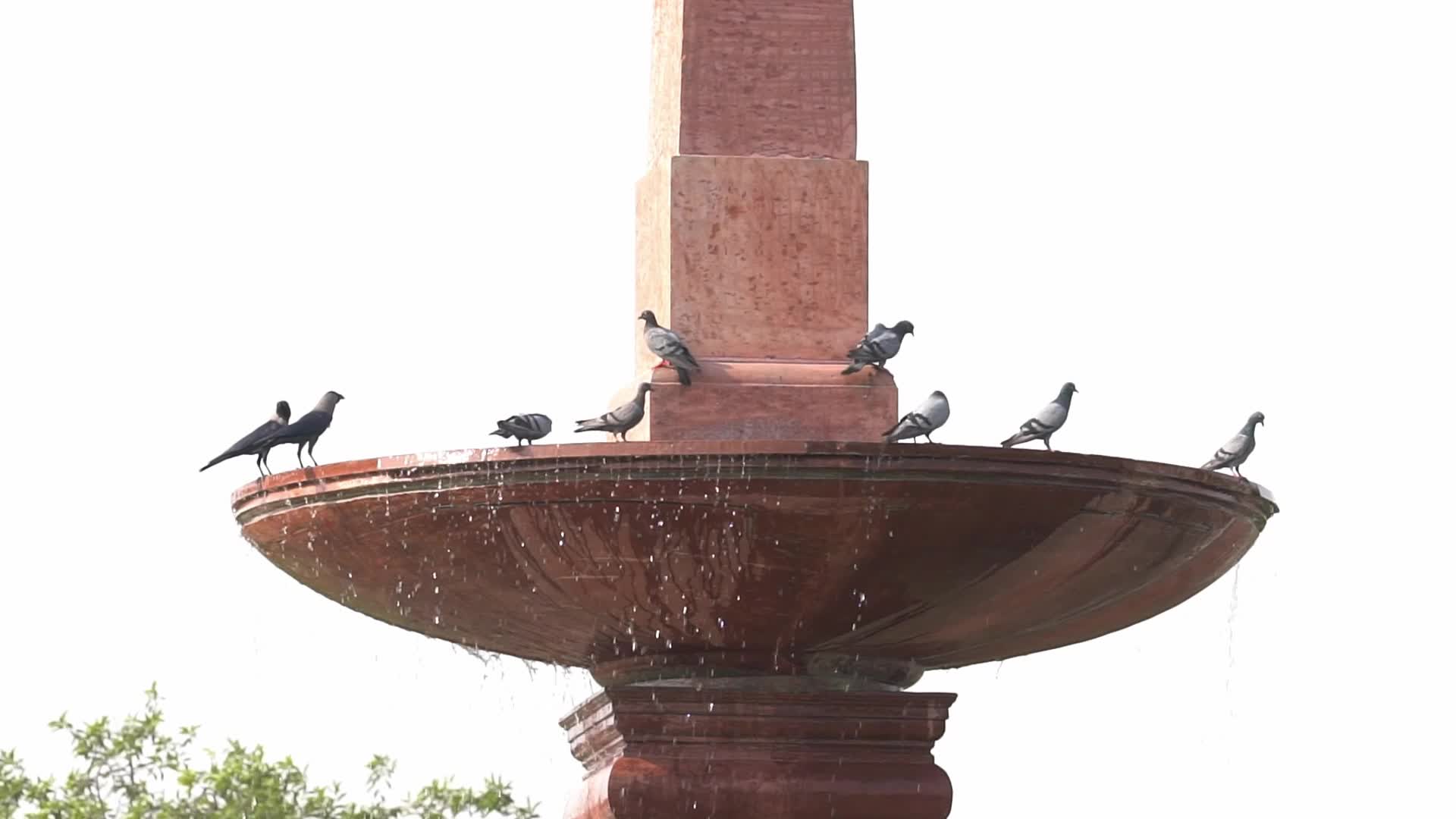 Hot summer day in Delhi, India