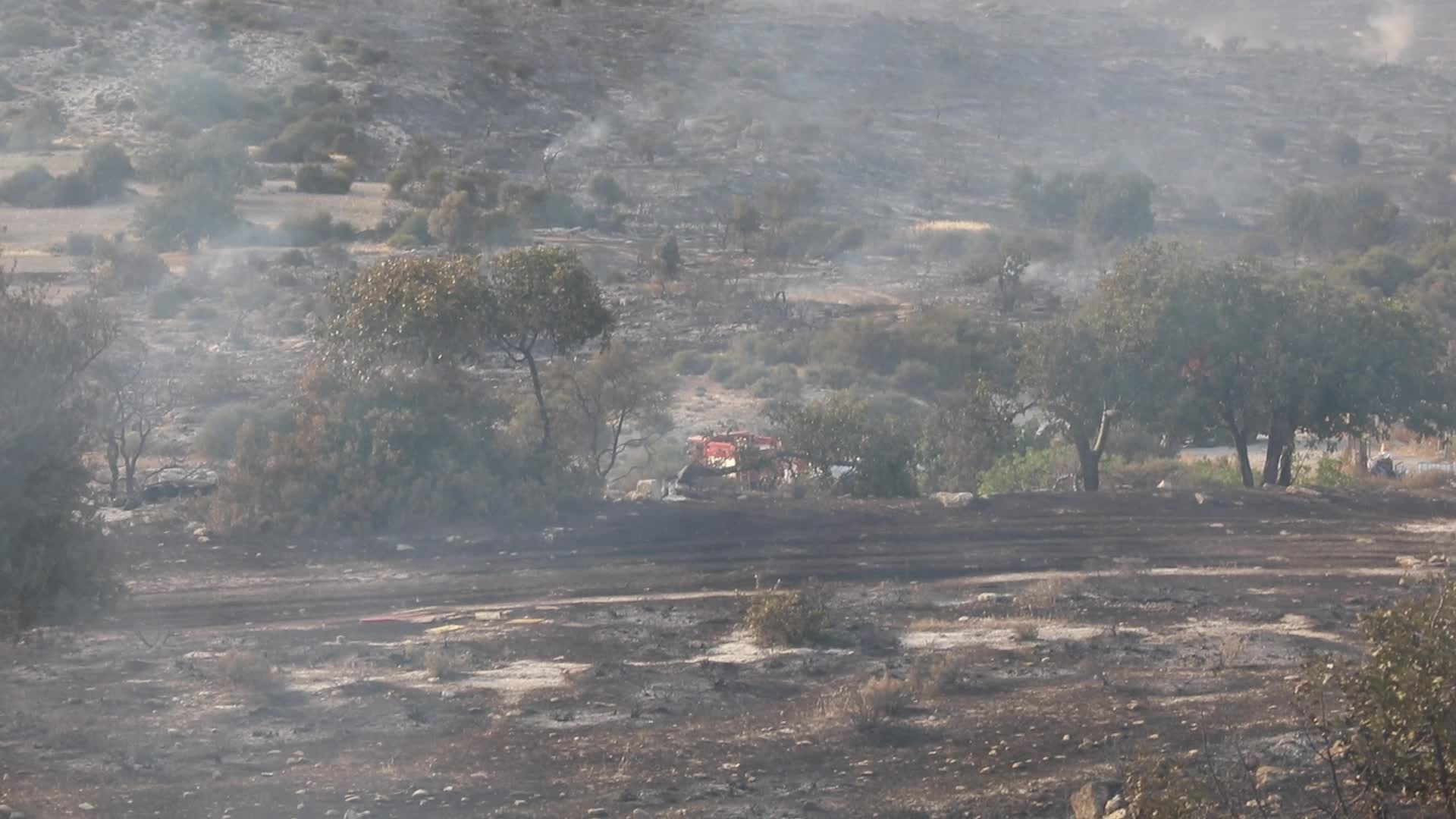 Cyprus : Wildfire in Ipsonas