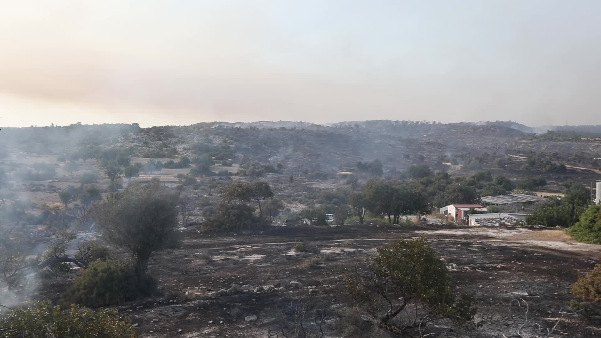 Cyprus : Wildfire in Ipsonas