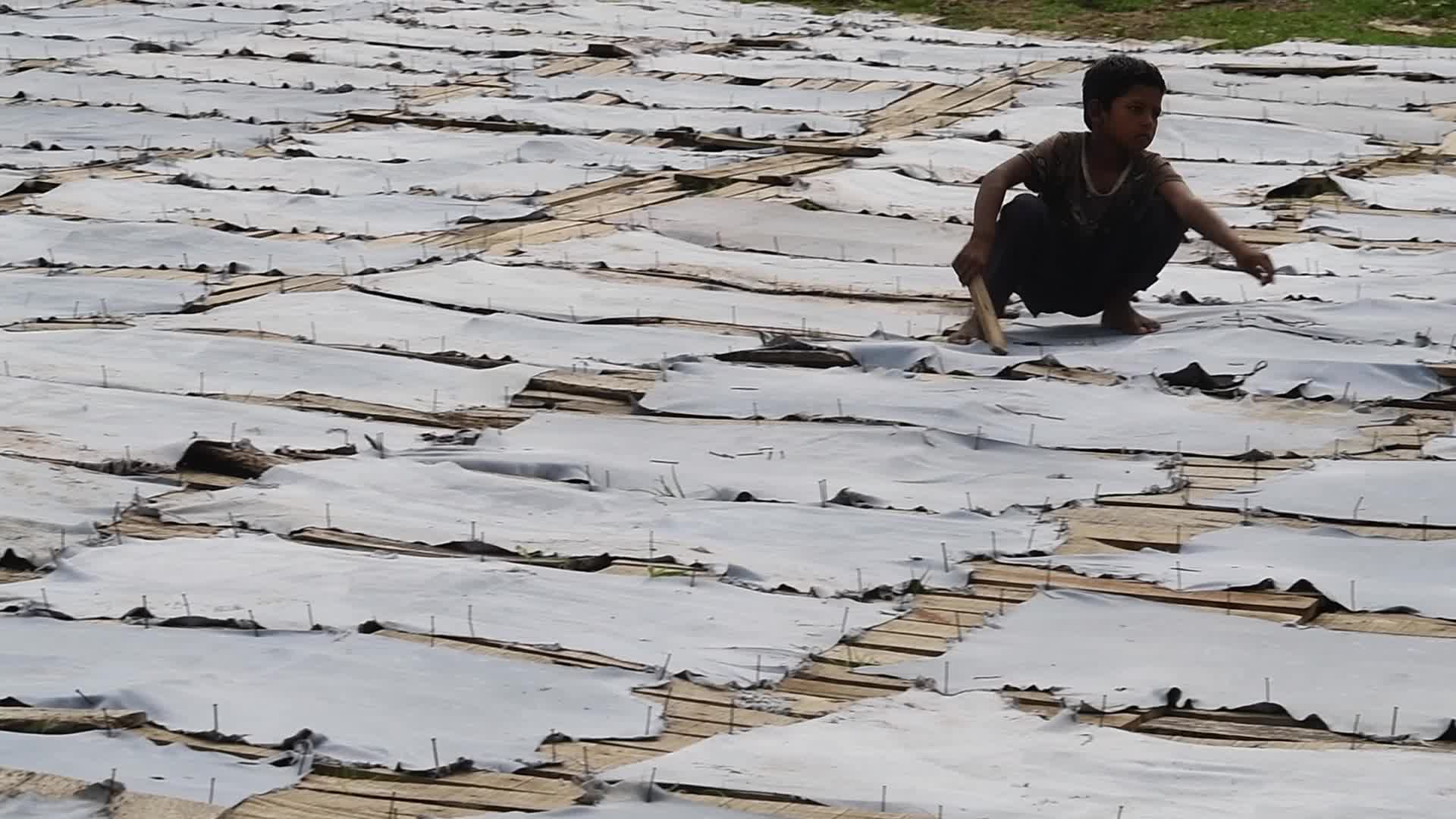 Child Labour in Dhaka