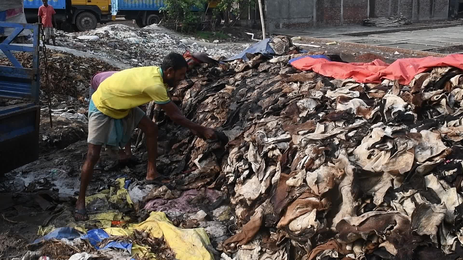 Tannery Business in Dhaka