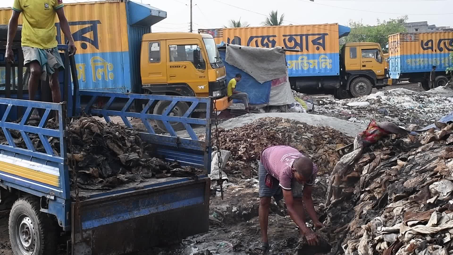 Tannery Business in Dhaka