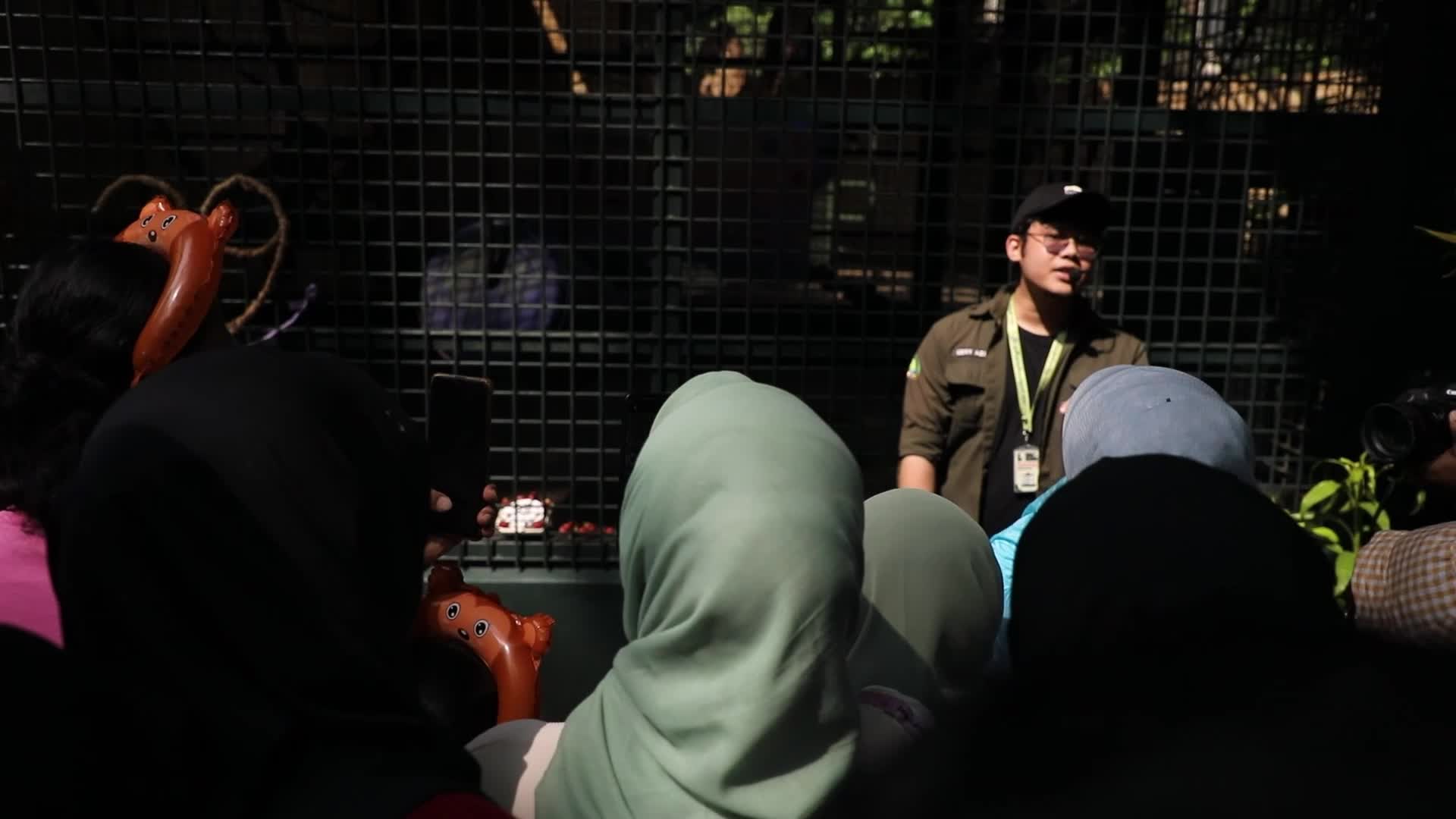 Ragunan Zoo Holds Birthday Celebration for Gorillas Kumbo and Kihi
