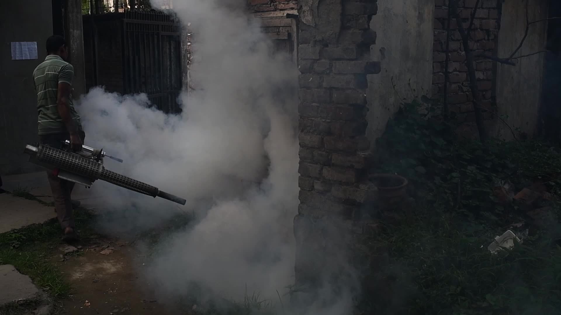 Dengue Outbreak in Bangladesh 