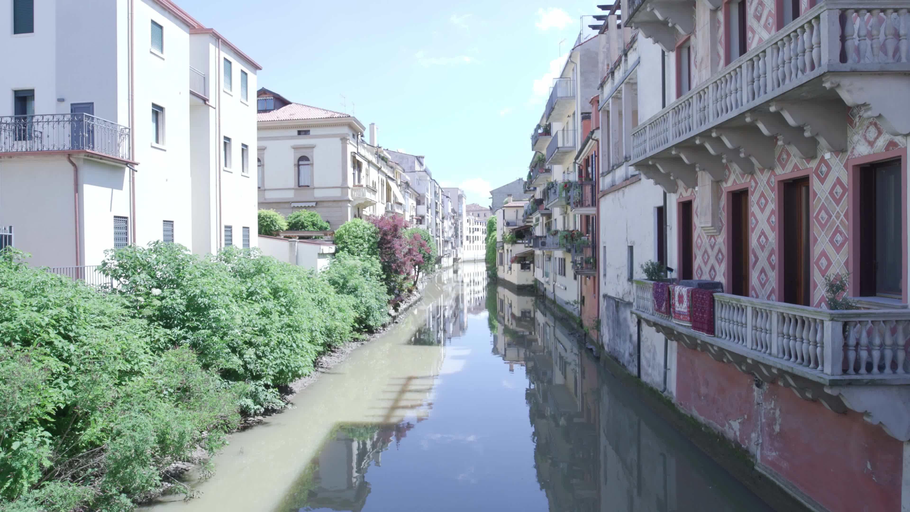 Activists Set Up Gaza Solidarity Camps Across Palazzo Bo at the University of Padua