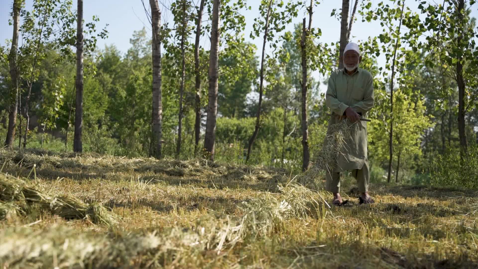 Brick Making in Kashmir, India