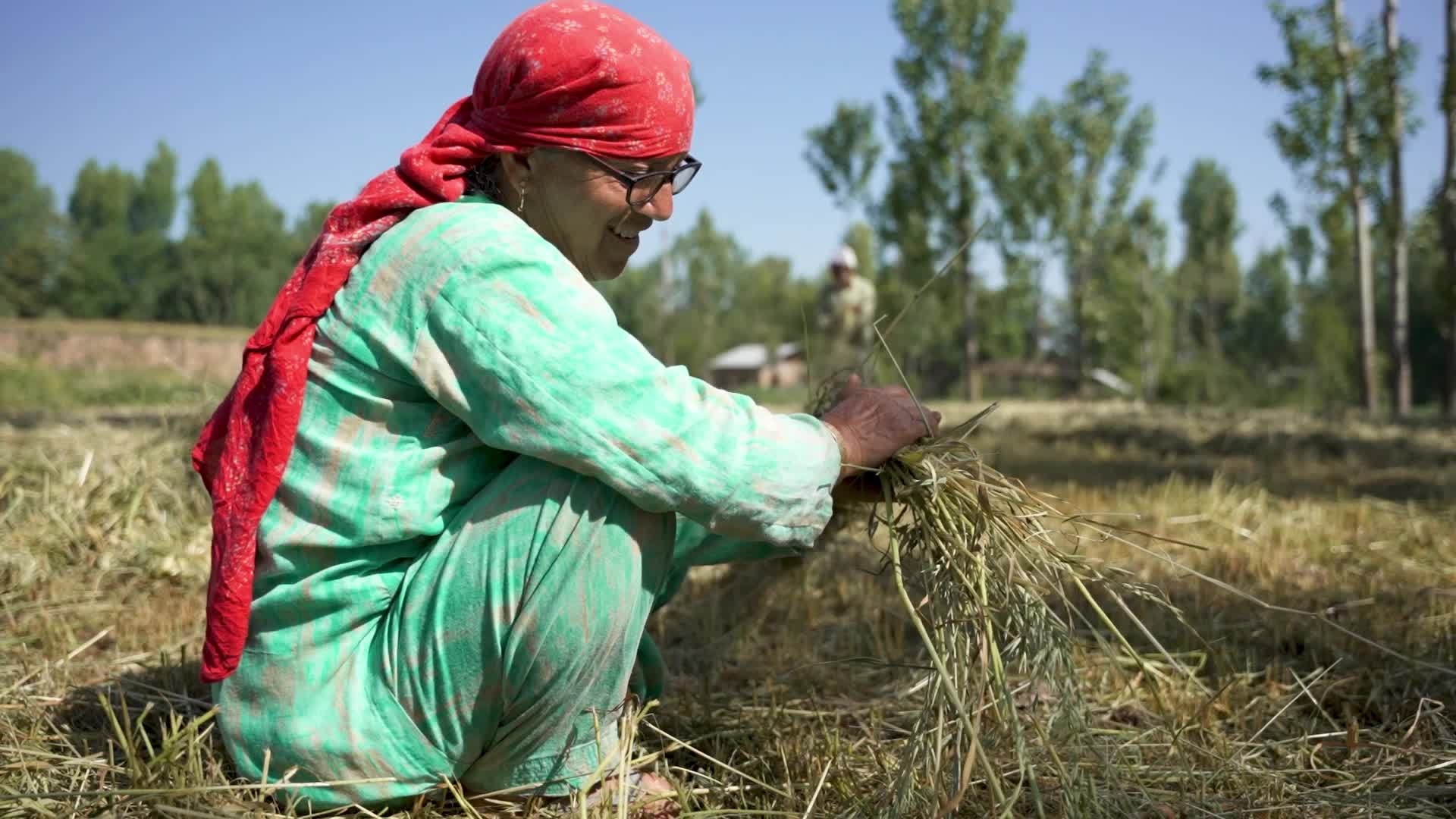 Daily Life in Budgam, Kashmir