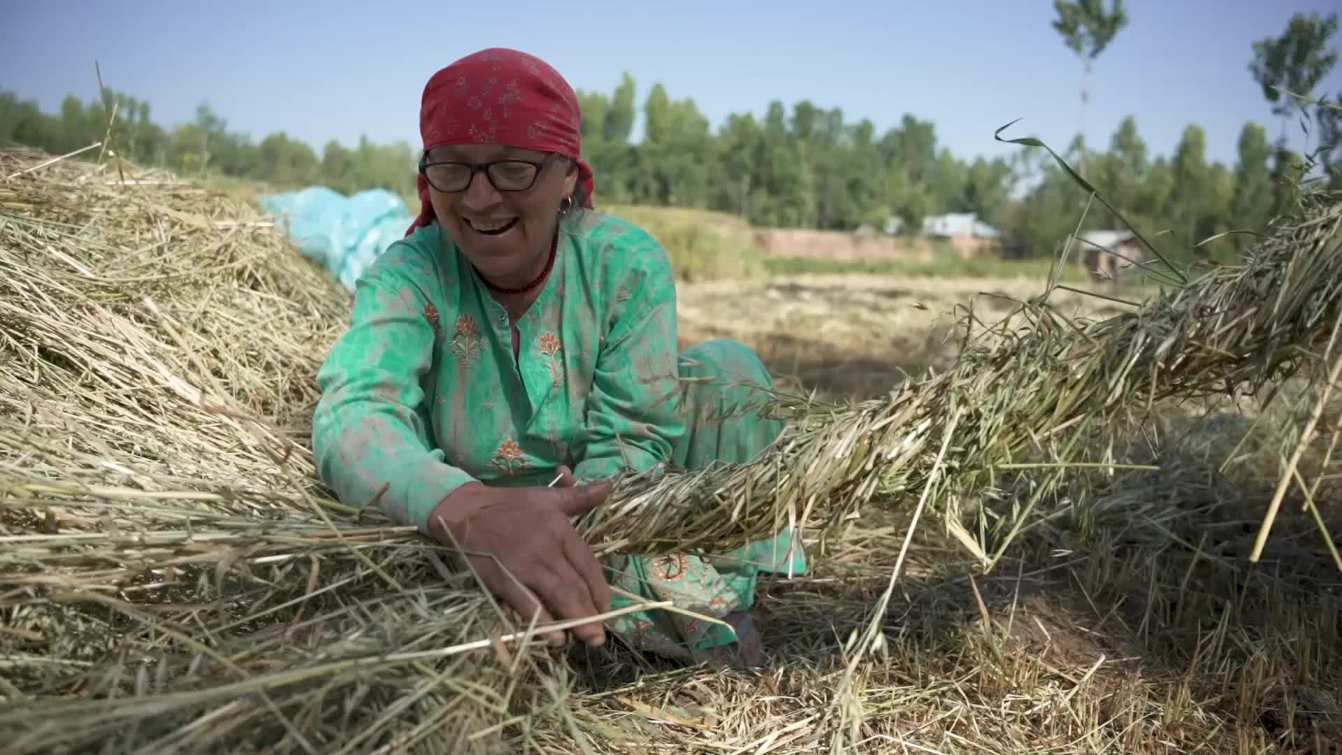 Daily Life in Budgam, Kashmir