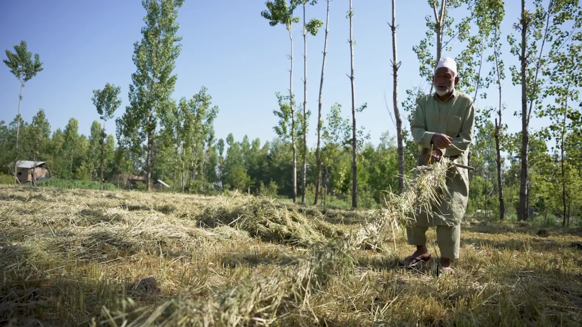 Daily Life in Budgam, Kashmir