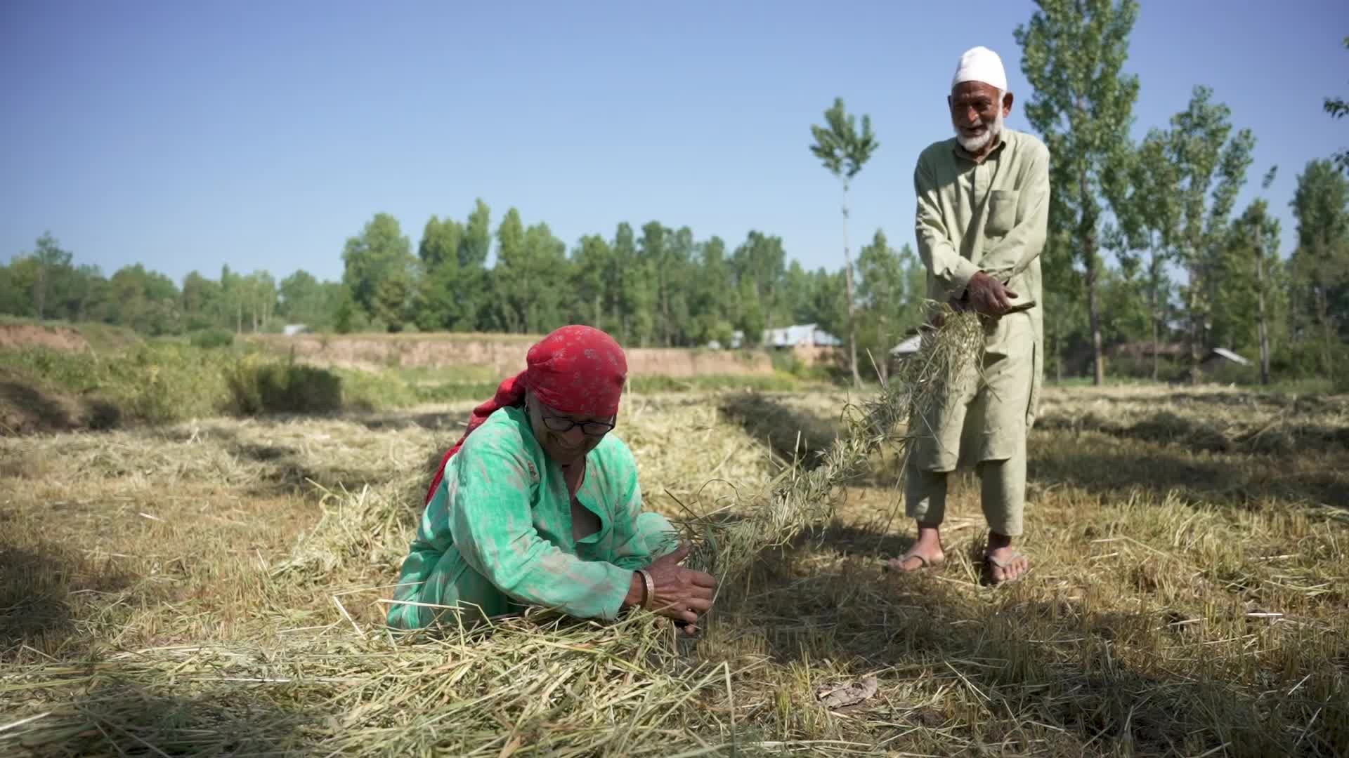 Daily Life in Budgam, Kashmir