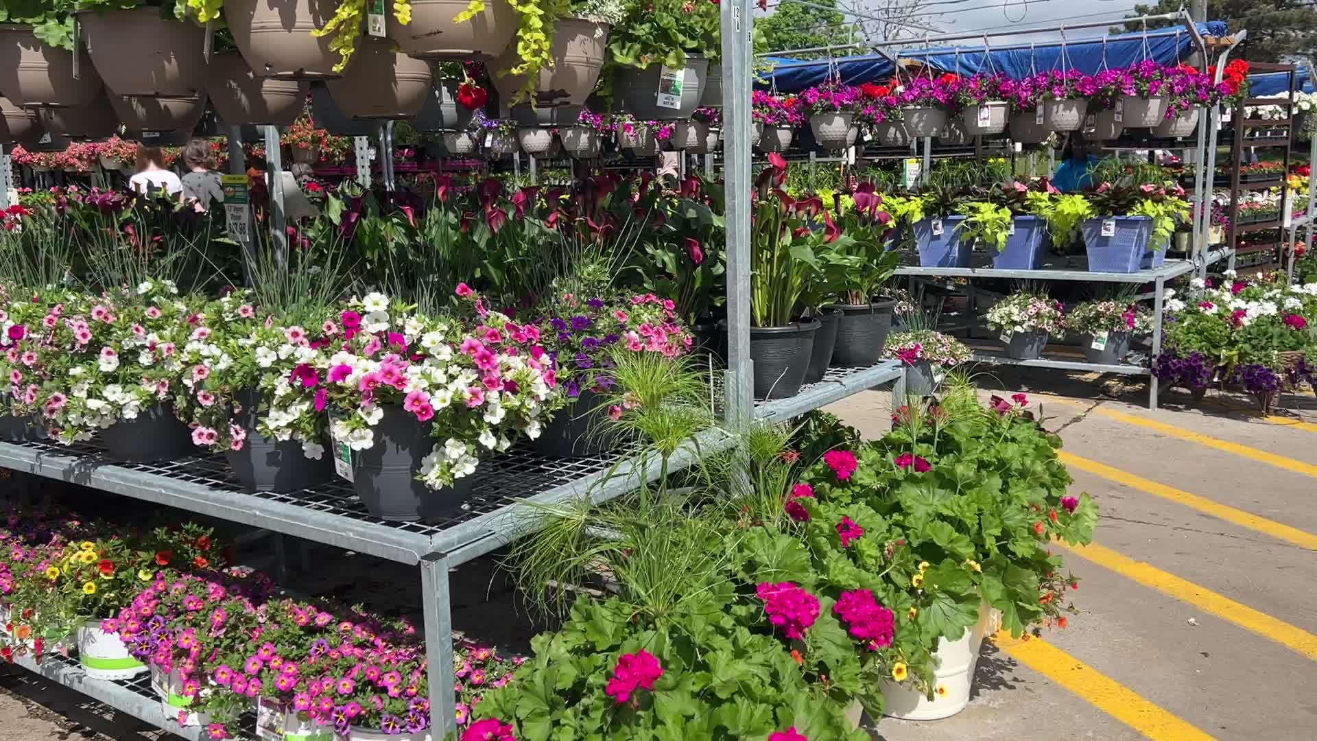 Canadians shop for plants and flowers during the Victoria Day long weekend