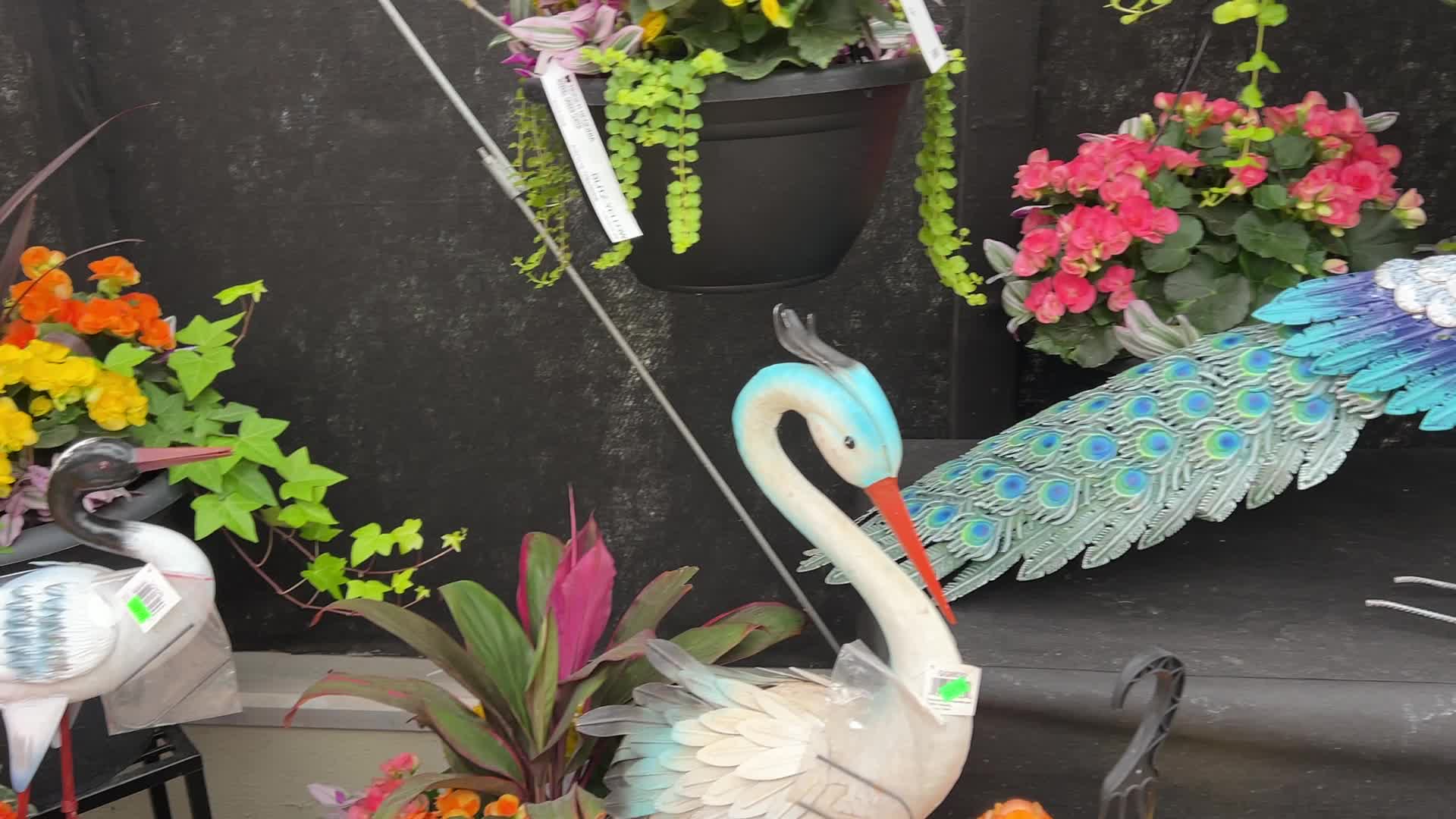 Canadians shop for plants and flowers during the Victoria Day long weekend