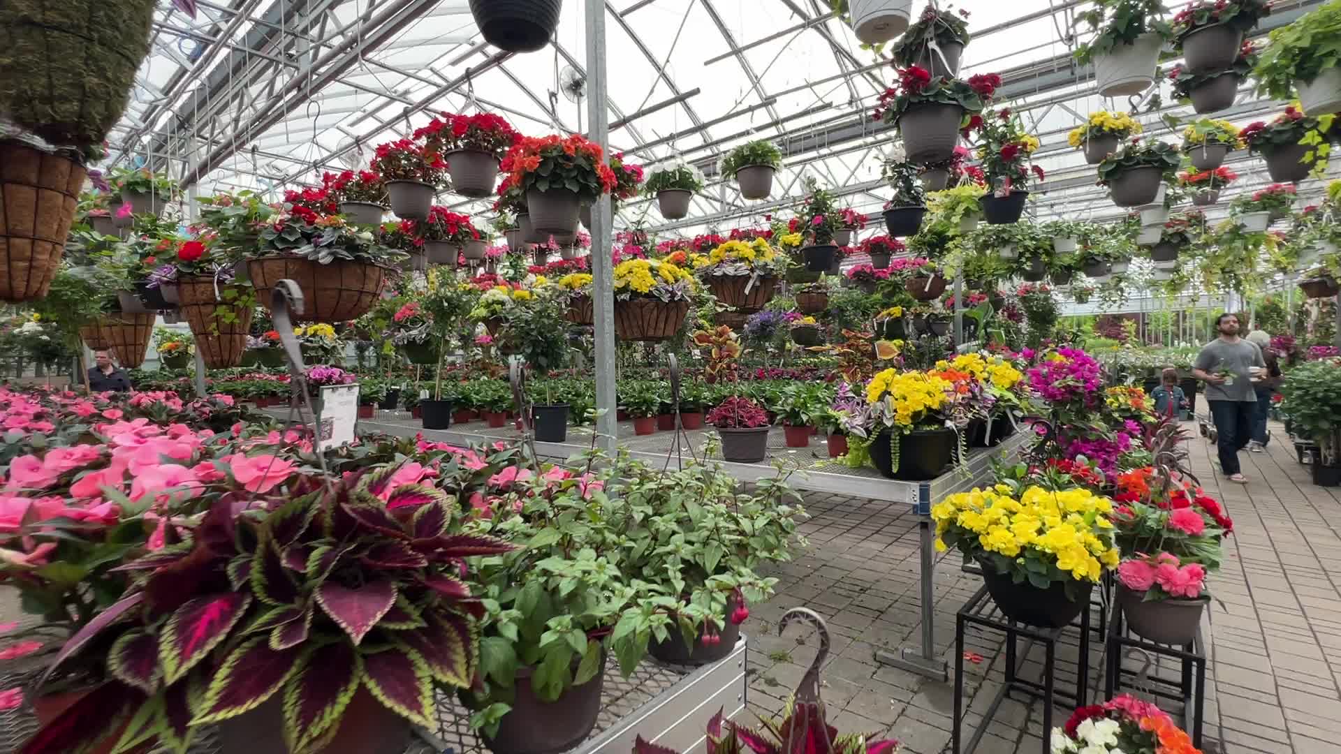 Canadians shop for plants and flowers during the Victoria Day long weekend