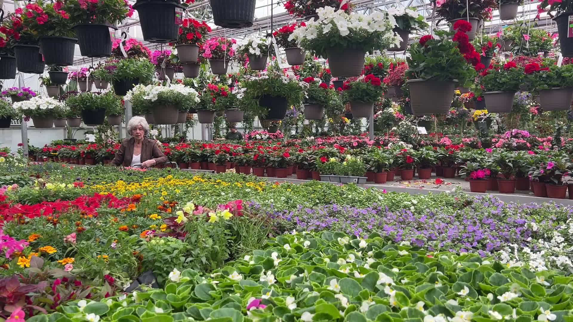 Canadians shop for plants and flowers during the Victoria Day long weekend