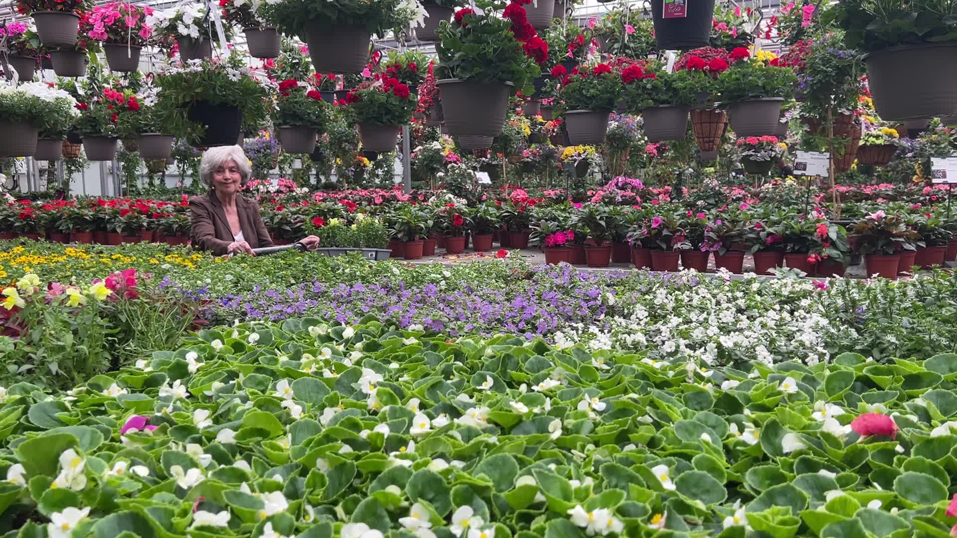 Canadians shop for plants and flowers during the Victoria Day long weekend