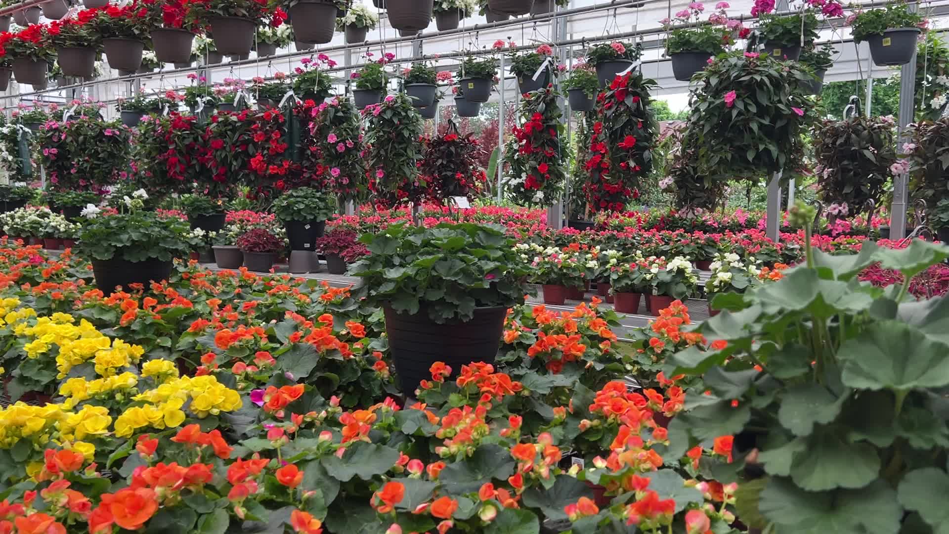 Canadians shop for plants and flowers during the Victoria Day long weekend