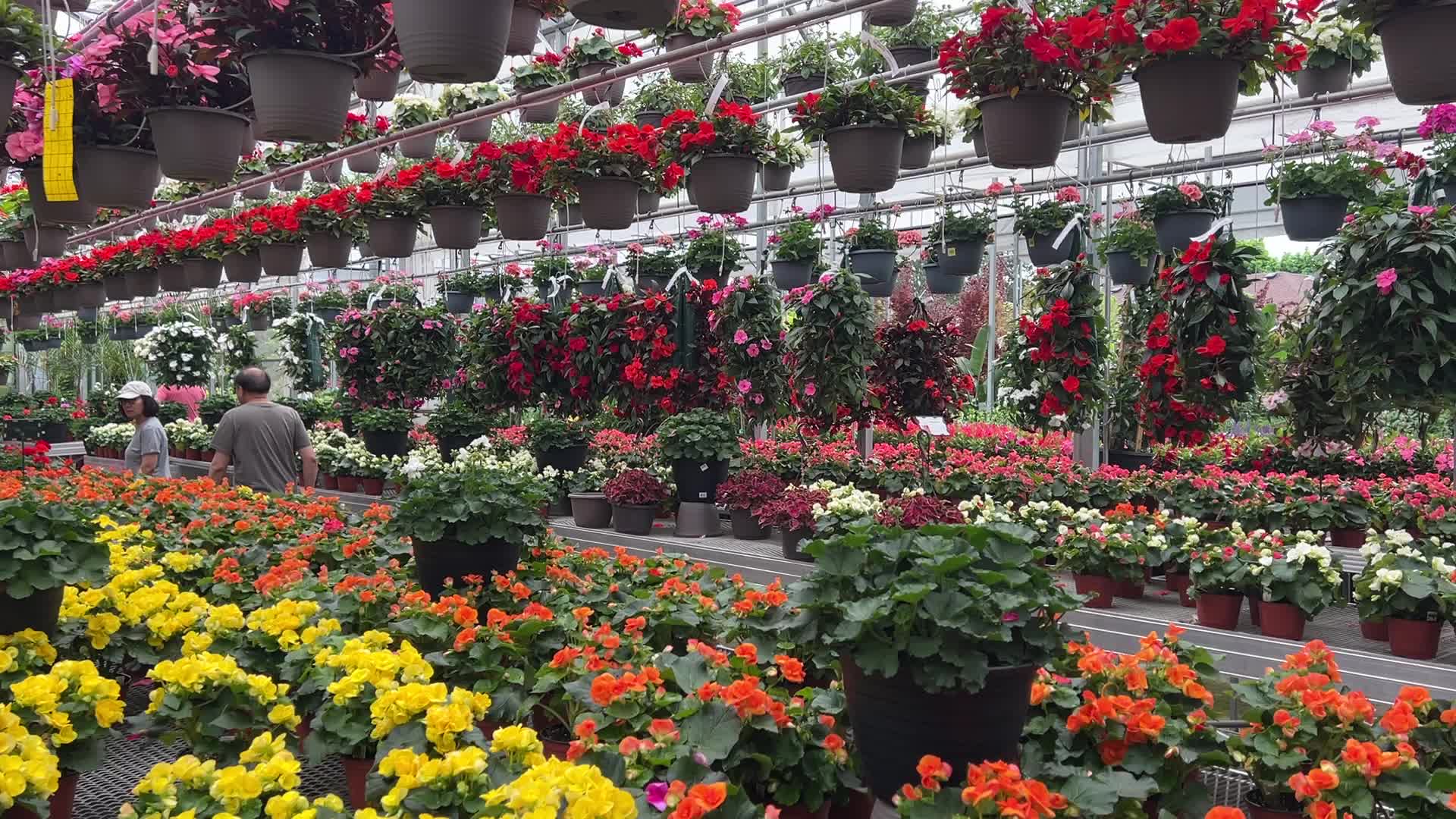 Canadians shop for plants and flowers during the Victoria Day long weekend