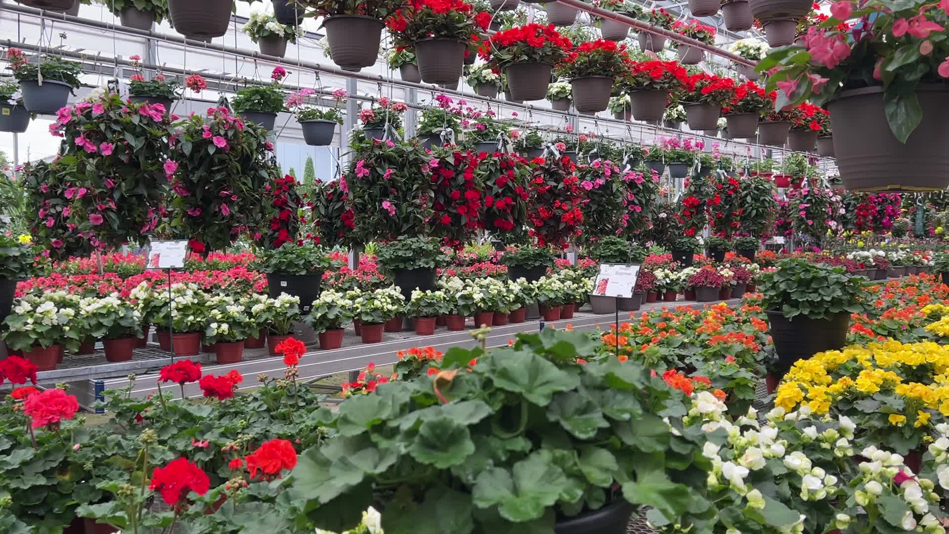 Canadians shop for plants and flowers during the Victoria Day long weekend