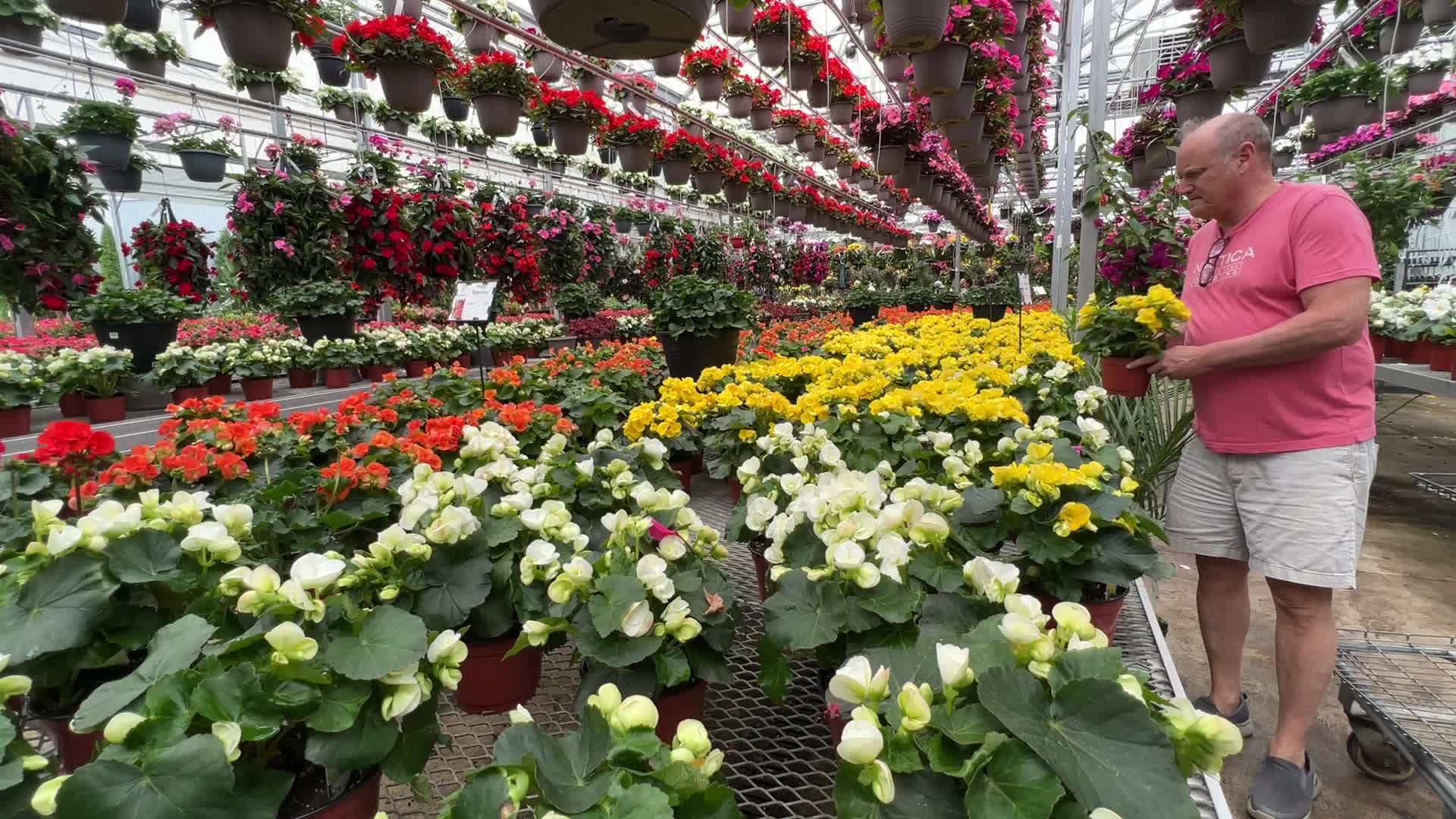Canadians shop for plants and flowers during the Victoria Day long weekend