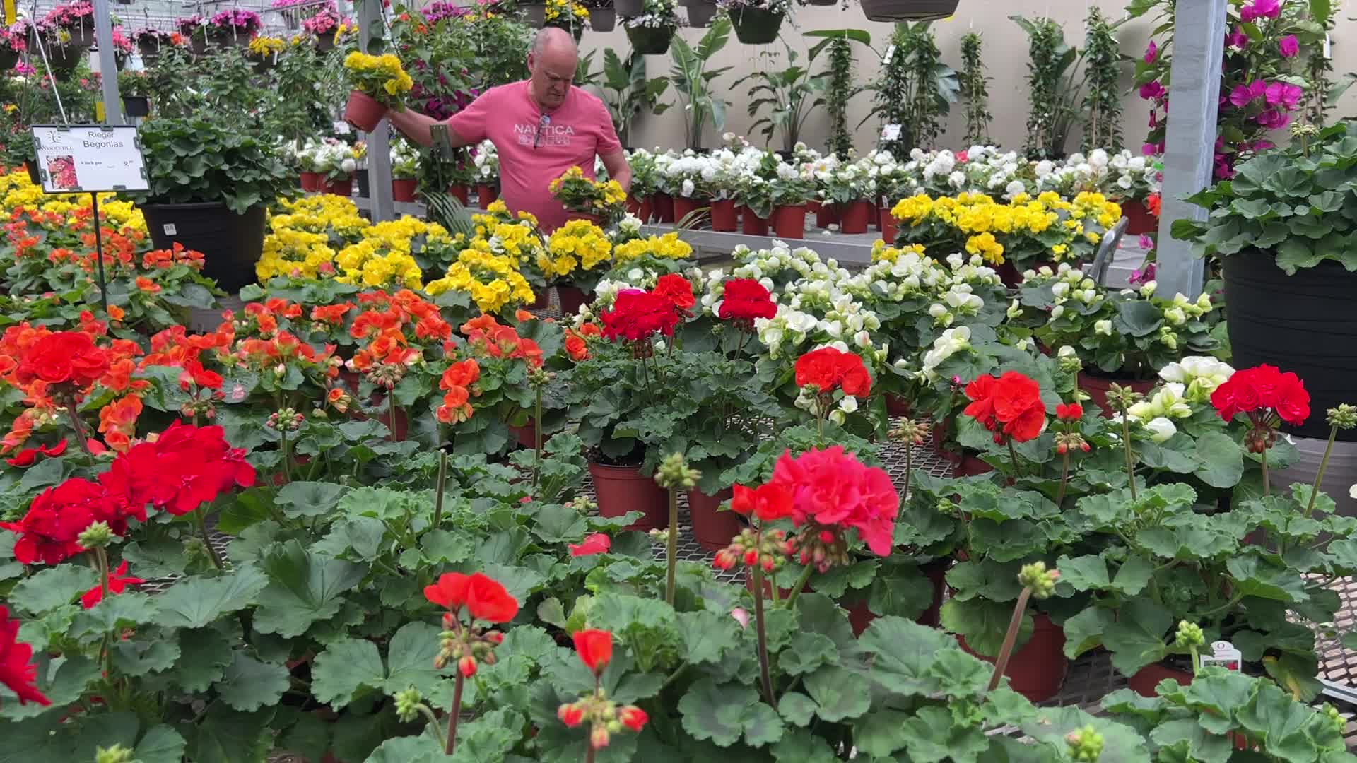 Canadians shop for plants and flowers during the Victoria Day long weekend