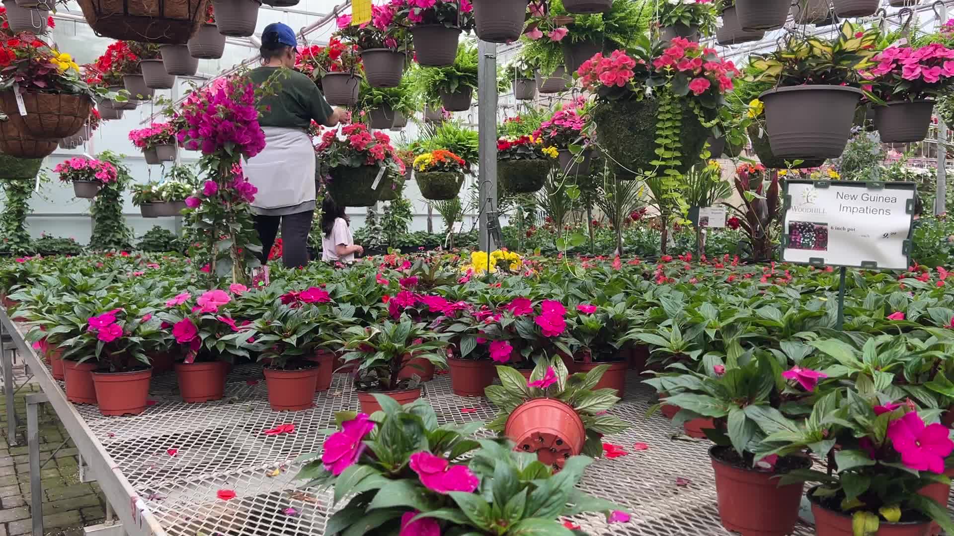 Canadians shop for plants and flowers during the Victoria Day long weekend